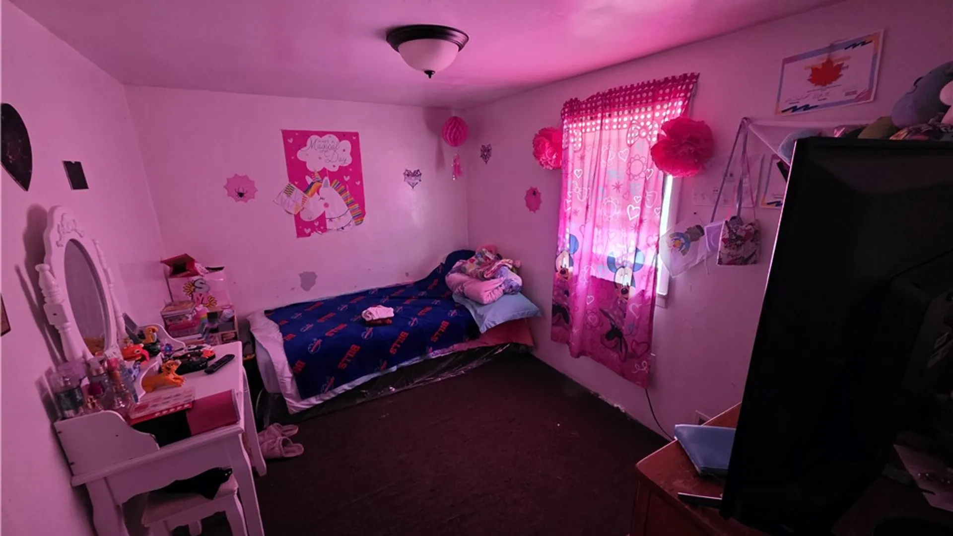 Property at 124 Gray Street, Rochester, NY 14609 10