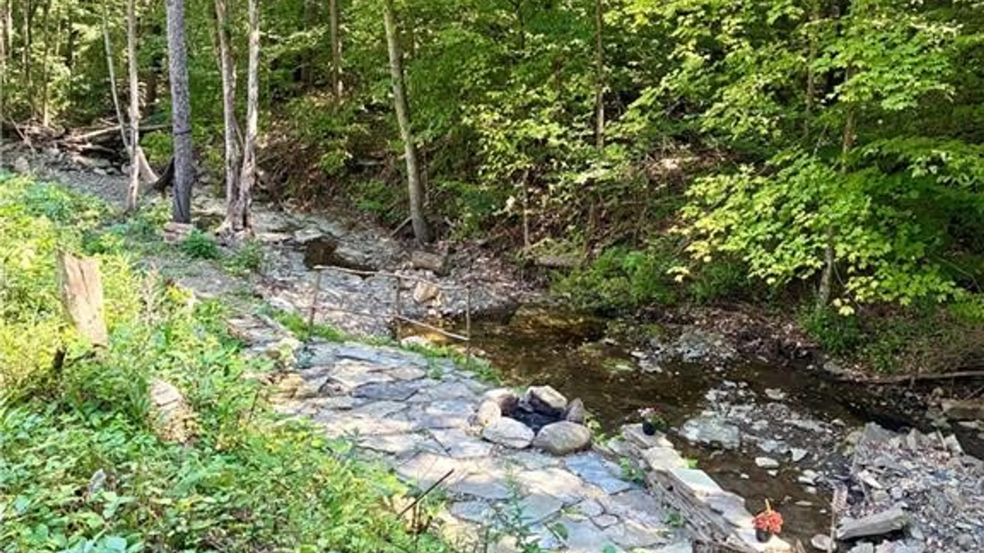 Property at 9894 Mountain Road, Urbana, NY 14840 14