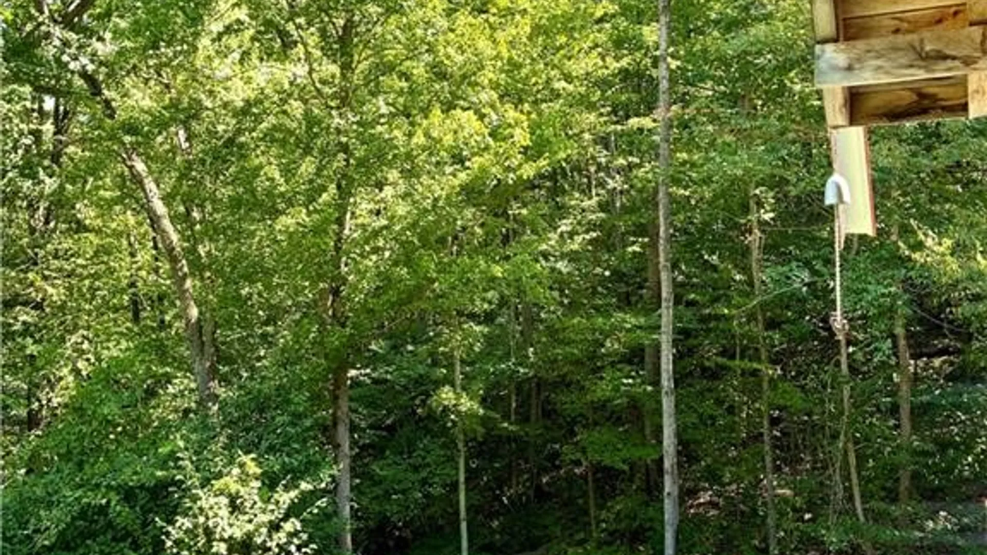 Property at 9894 Mountain Road, Urbana, NY 14840 9