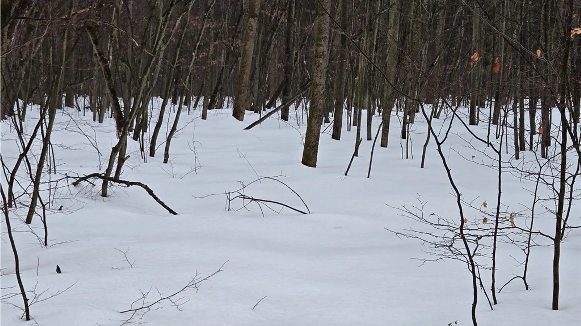 Property at Lot 110 Corbin Hill Road, Charleston, NY 12166 7