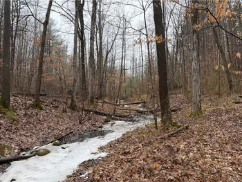 Property at Lakemont Himrod Road, Starkey, NY 14837