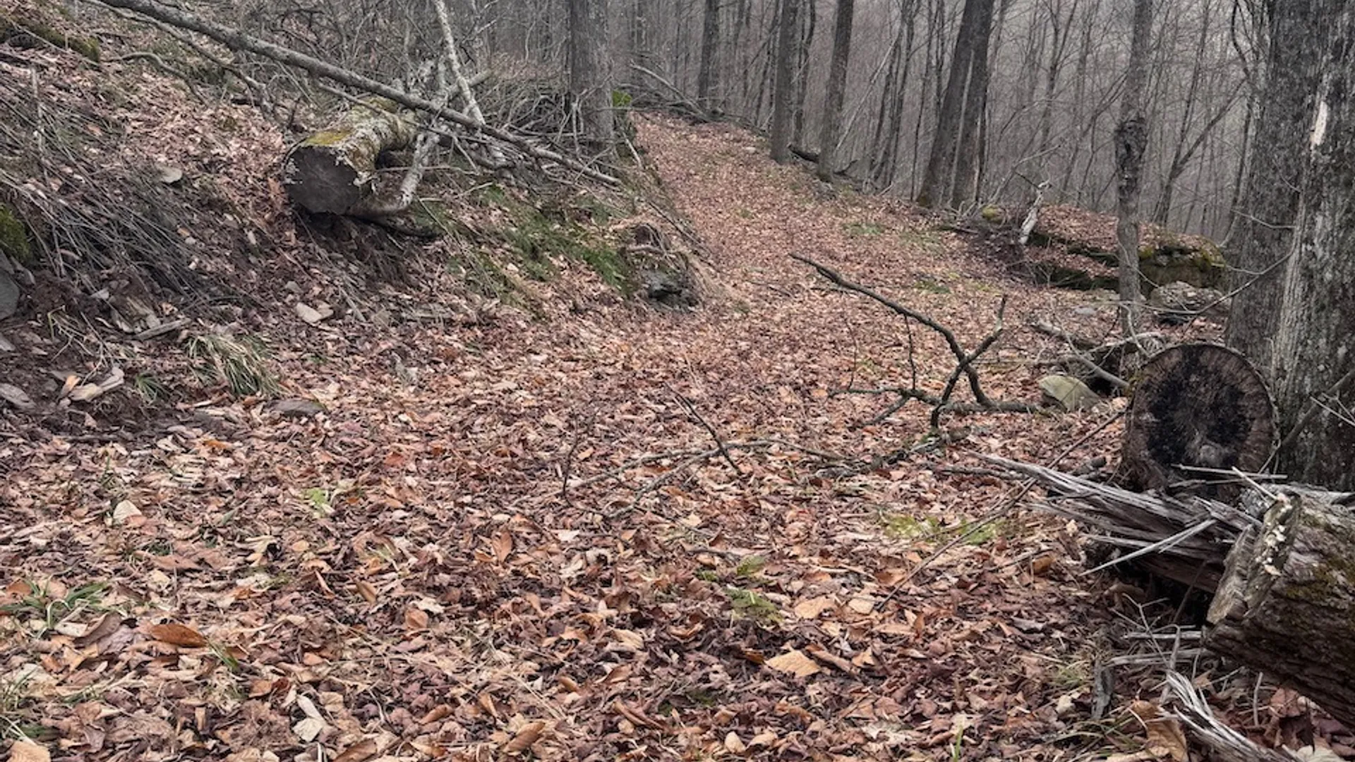 Property at 0 Charlie Wood Road, Delhi, NY 13752 2