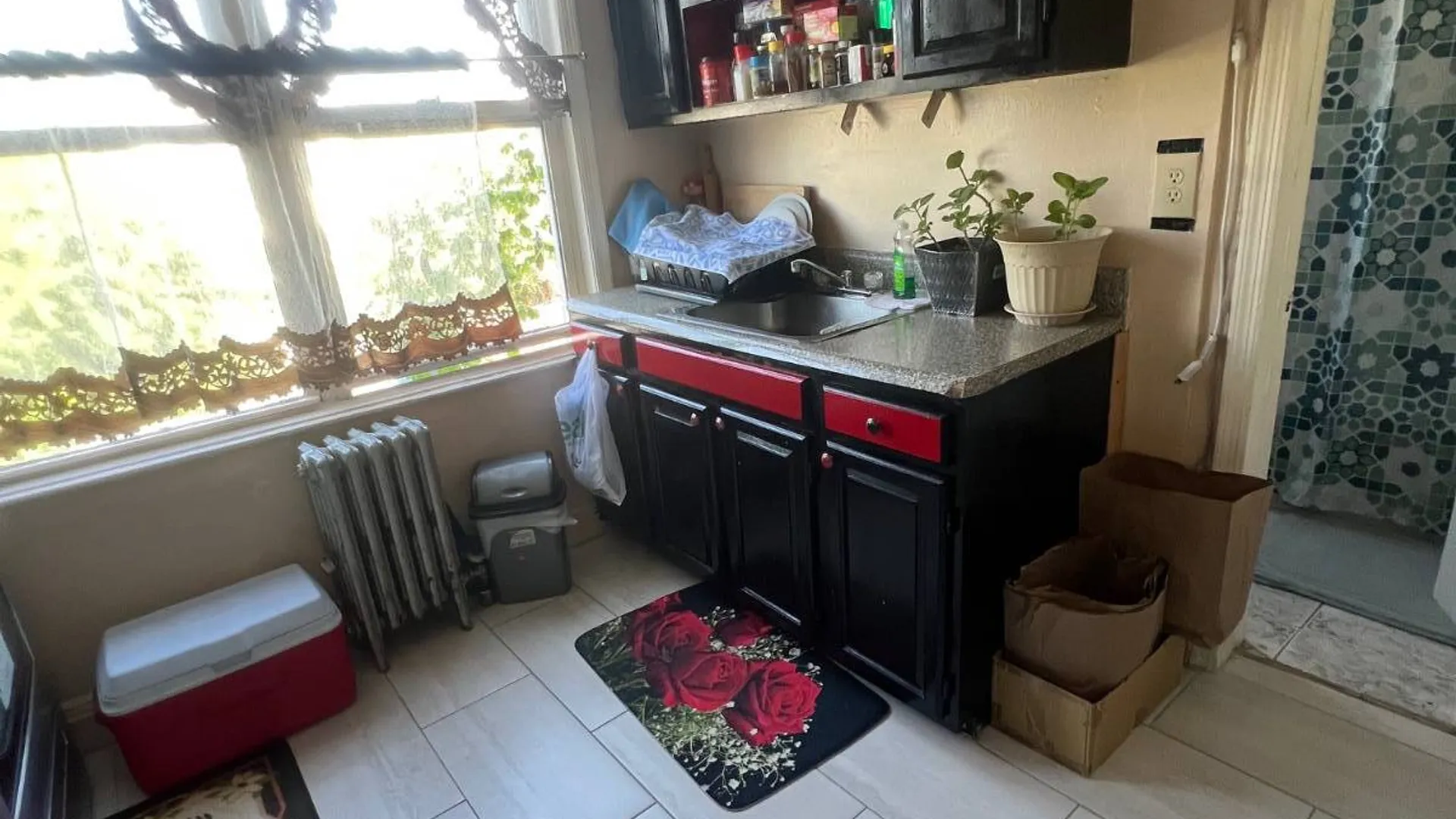Property at 1259 East 89 Street, Brooklyn, NY 11236 23