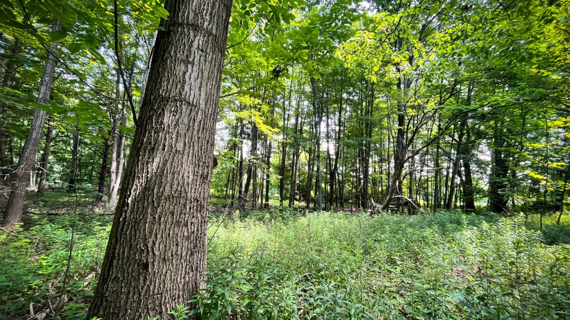 Property at 9008-10 St Rt 3, Sandy Creek, NY 13145 18