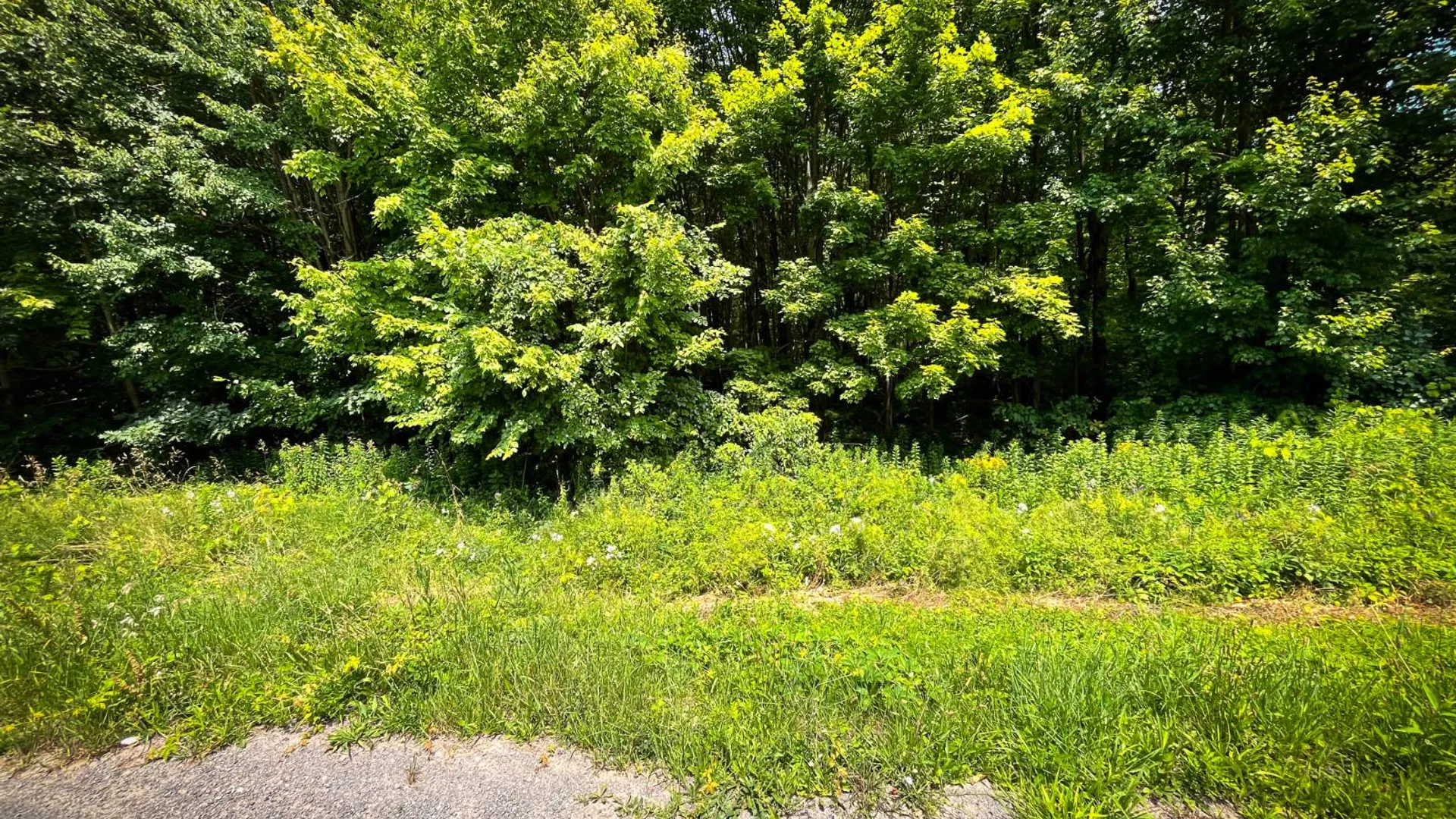 Property at 9008-10 St Rt 3, Sandy Creek, NY 13145 50