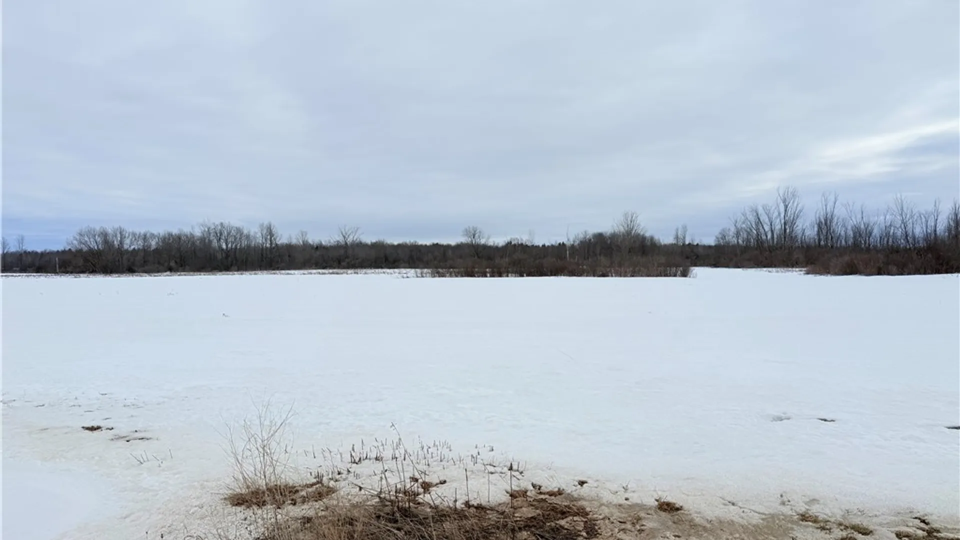 Property at Buttermilk Flat Road, Orleans, NY 13656 5