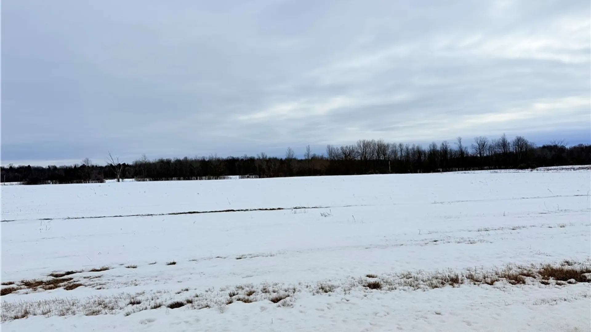 Property at Buttermilk Flat Road, Orleans, NY 13656 8