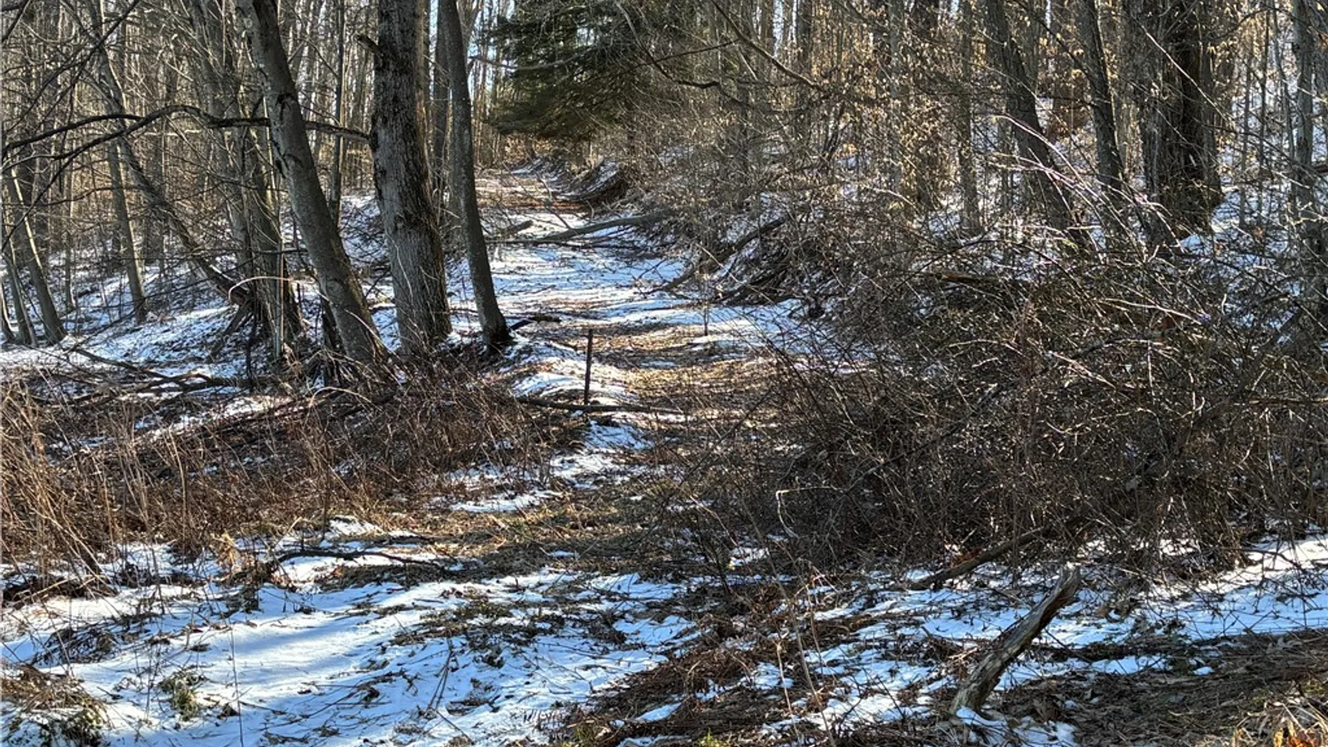 Property at 793 Joseph Road, St Marys, PA 15857 17