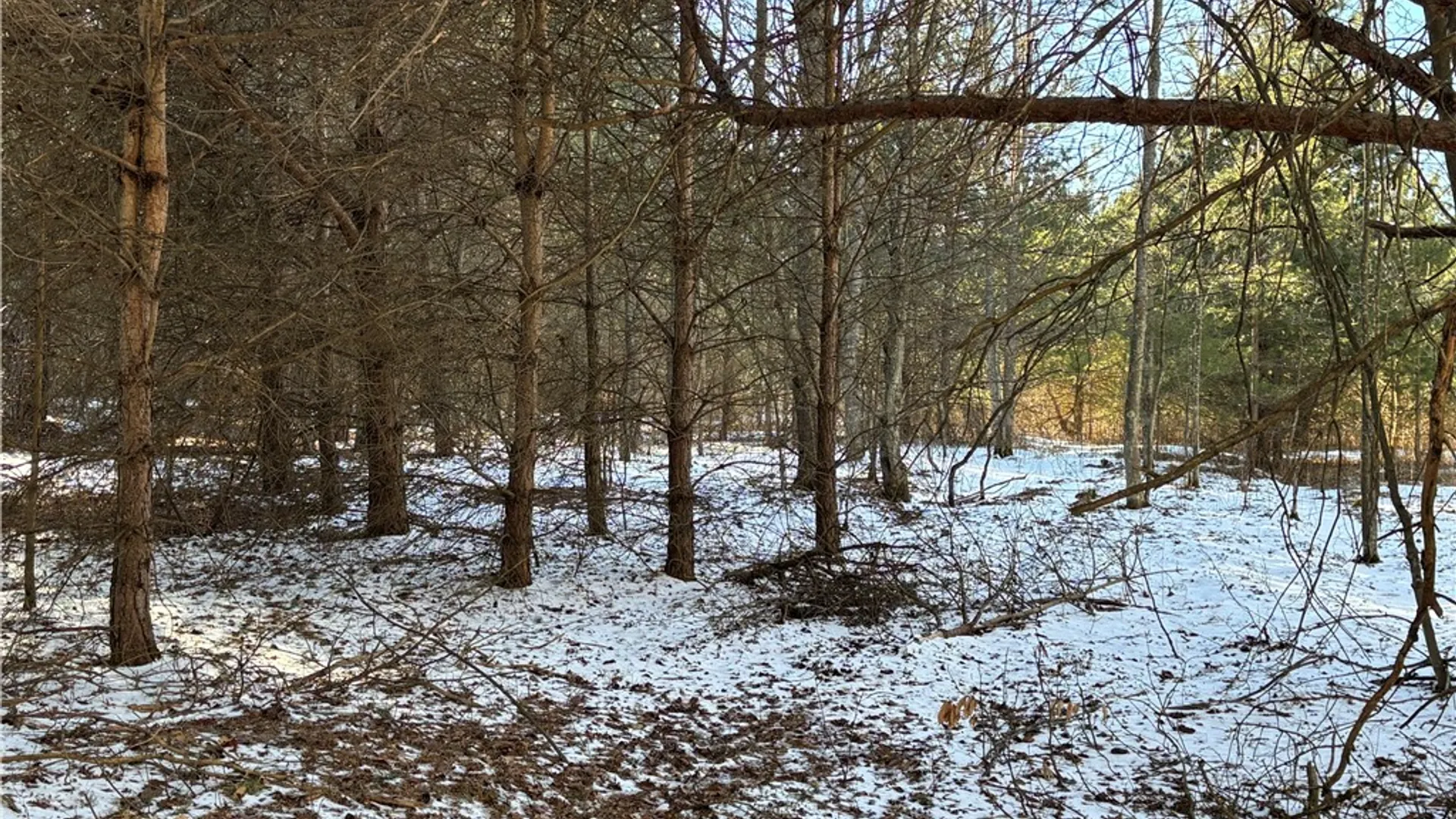 Property at 793 Joseph Road, St Marys, PA 15857 21