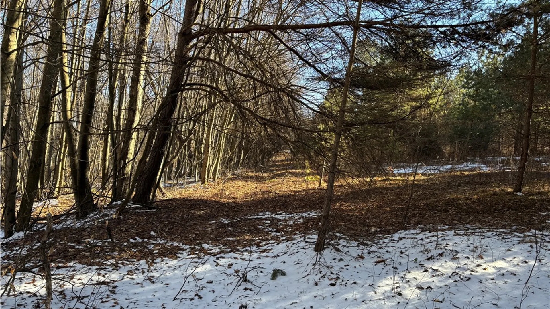 Property at 793 Joseph Road, St Marys, PA 15857 23