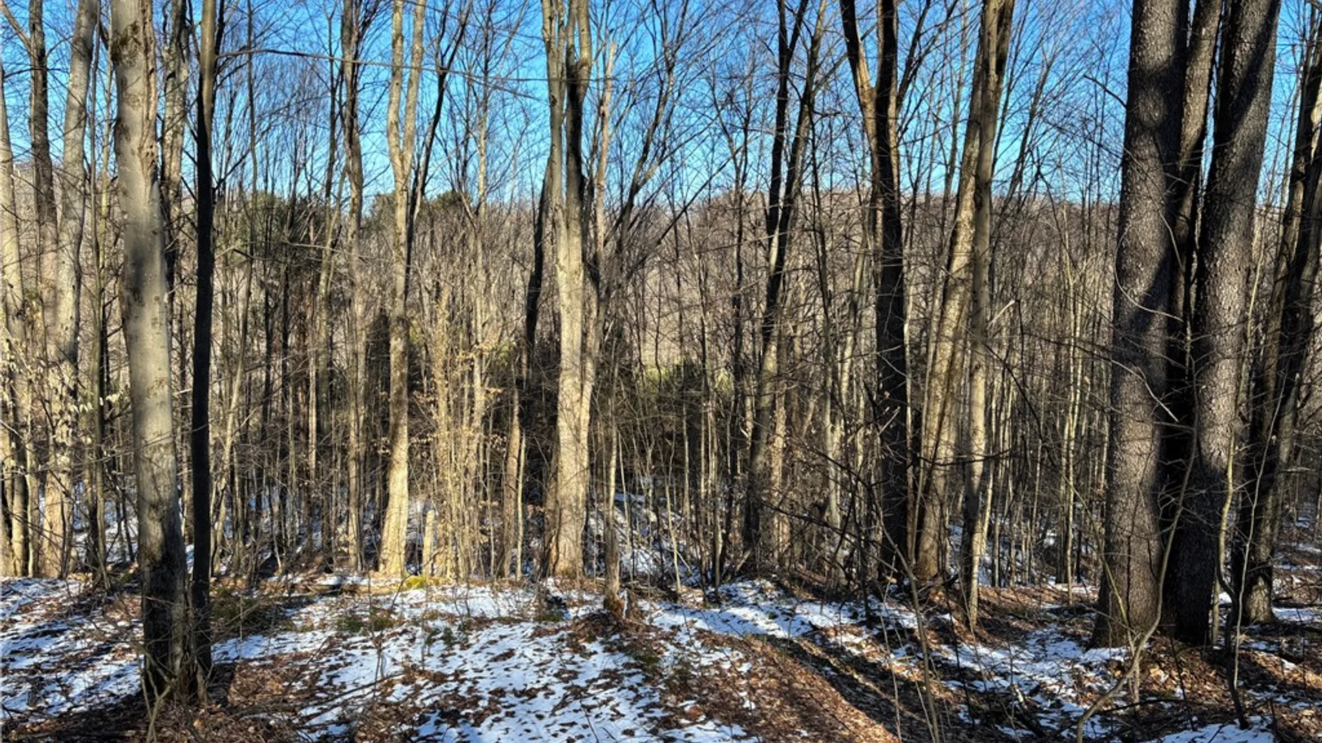 Property at 793 Joseph Road, St Marys, PA 15857 24