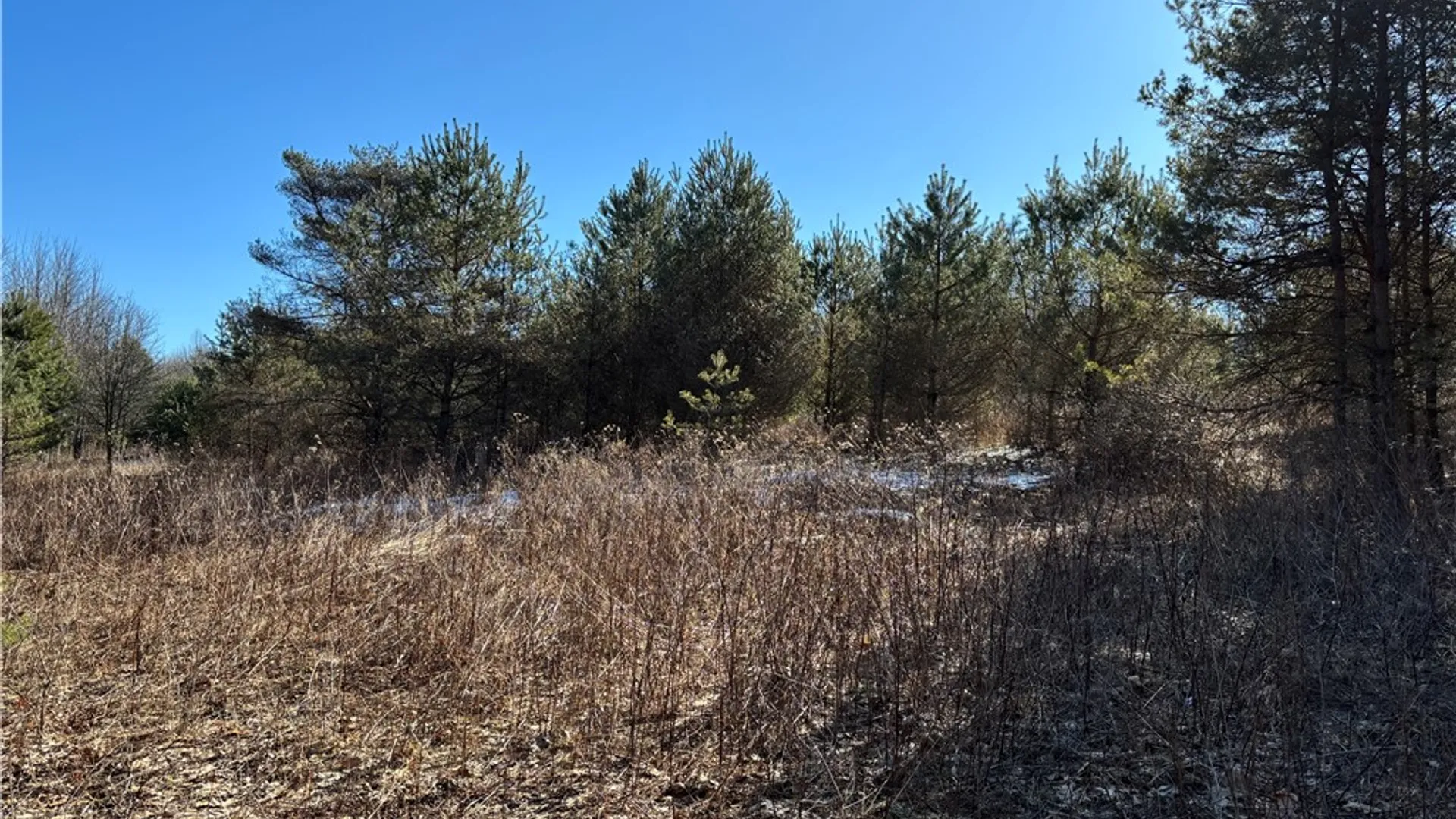 Property at 793 Joseph Road, St Marys, PA 15857 9