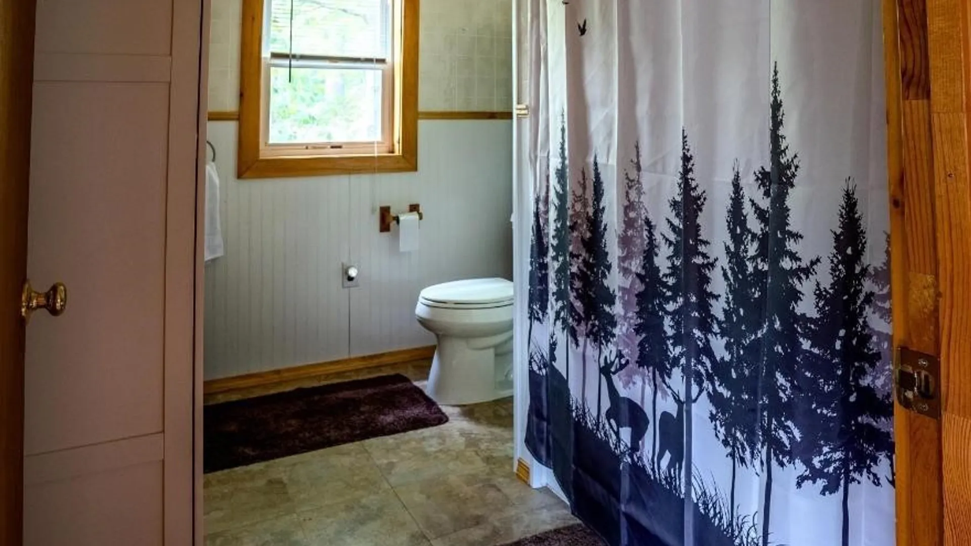 Property at 93 Woods Road, Hammond, NY 13646 14