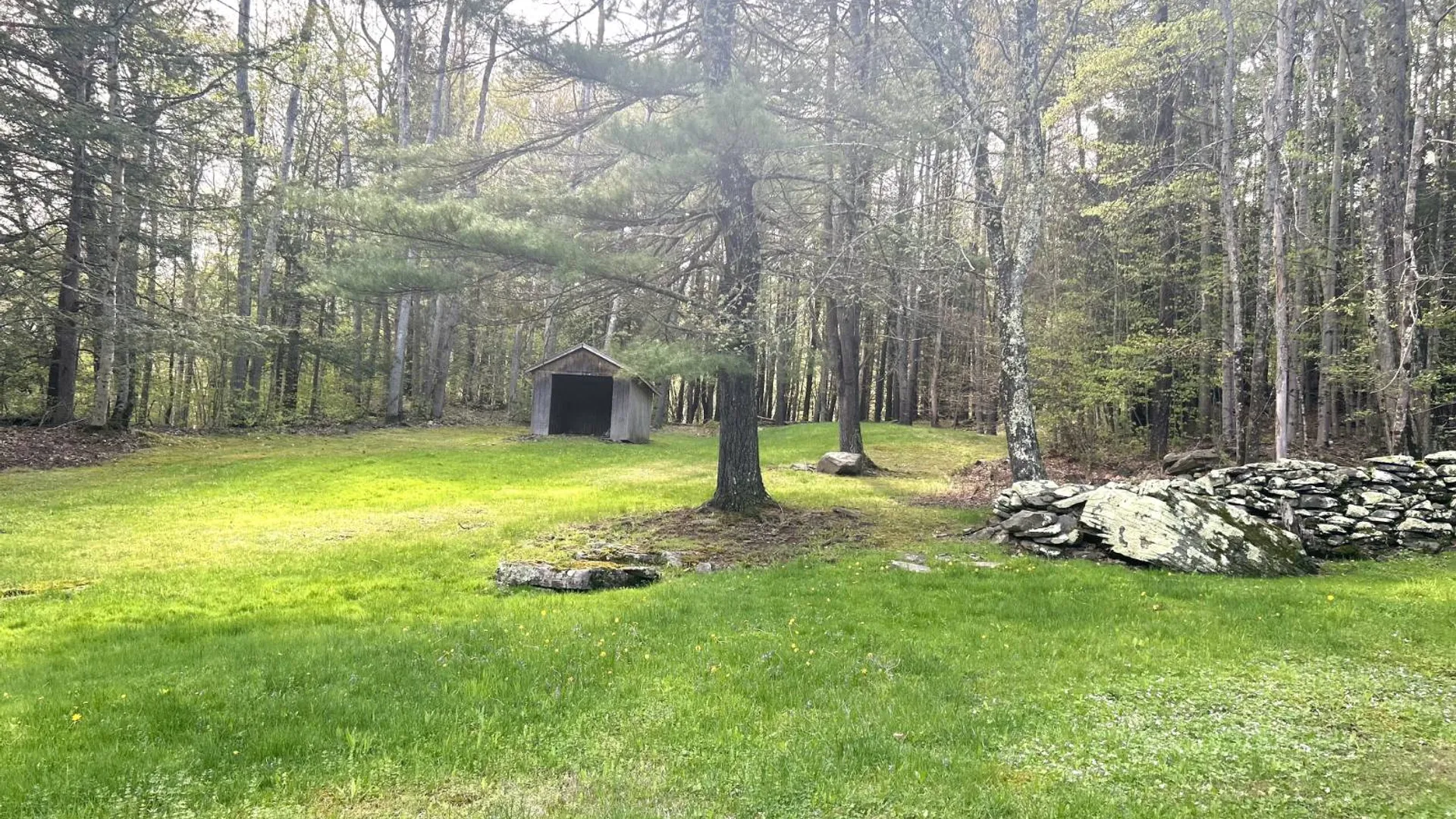 Property at 169 Rt. 4, Prattsville, NY 12468 13