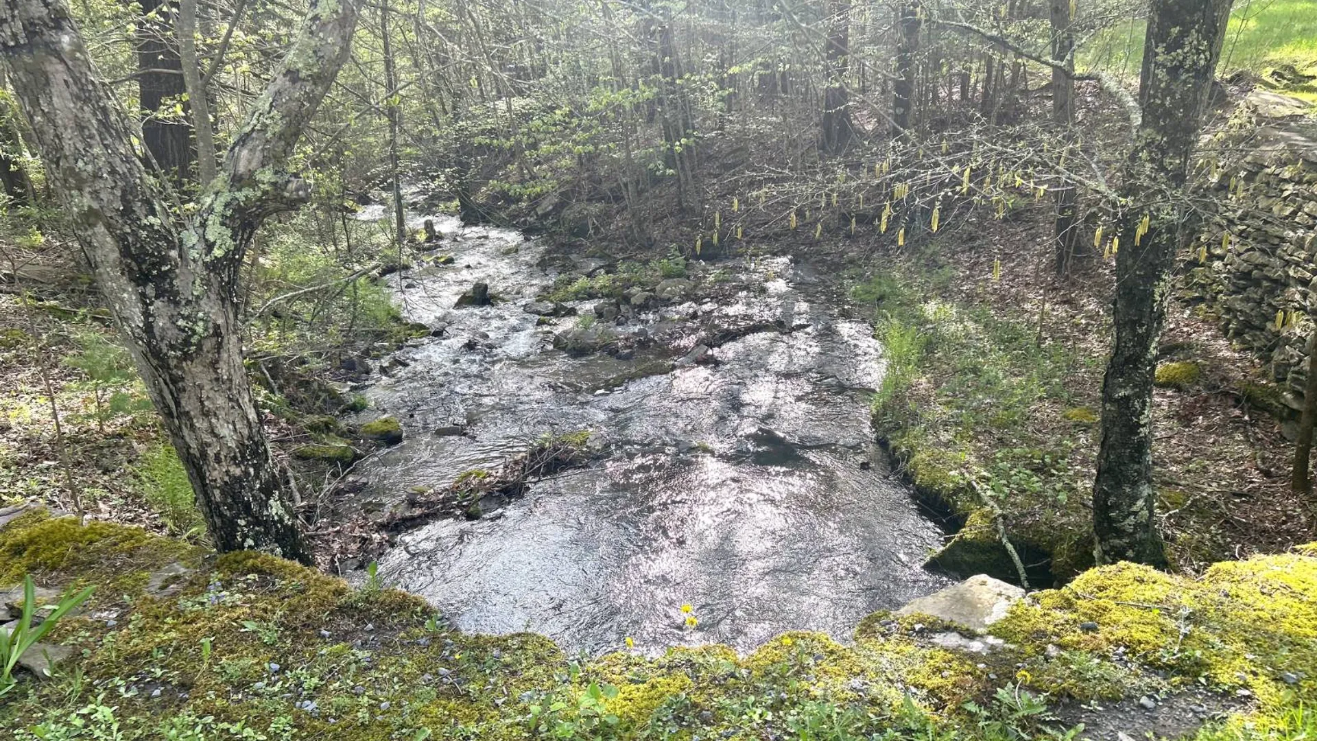 Property at 169 Rt. 4, Prattsville, NY 12468 14