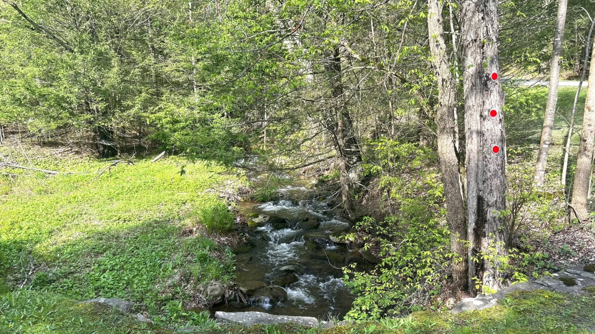 Property at 169 Rt. 4, Prattsville, NY 12468 15