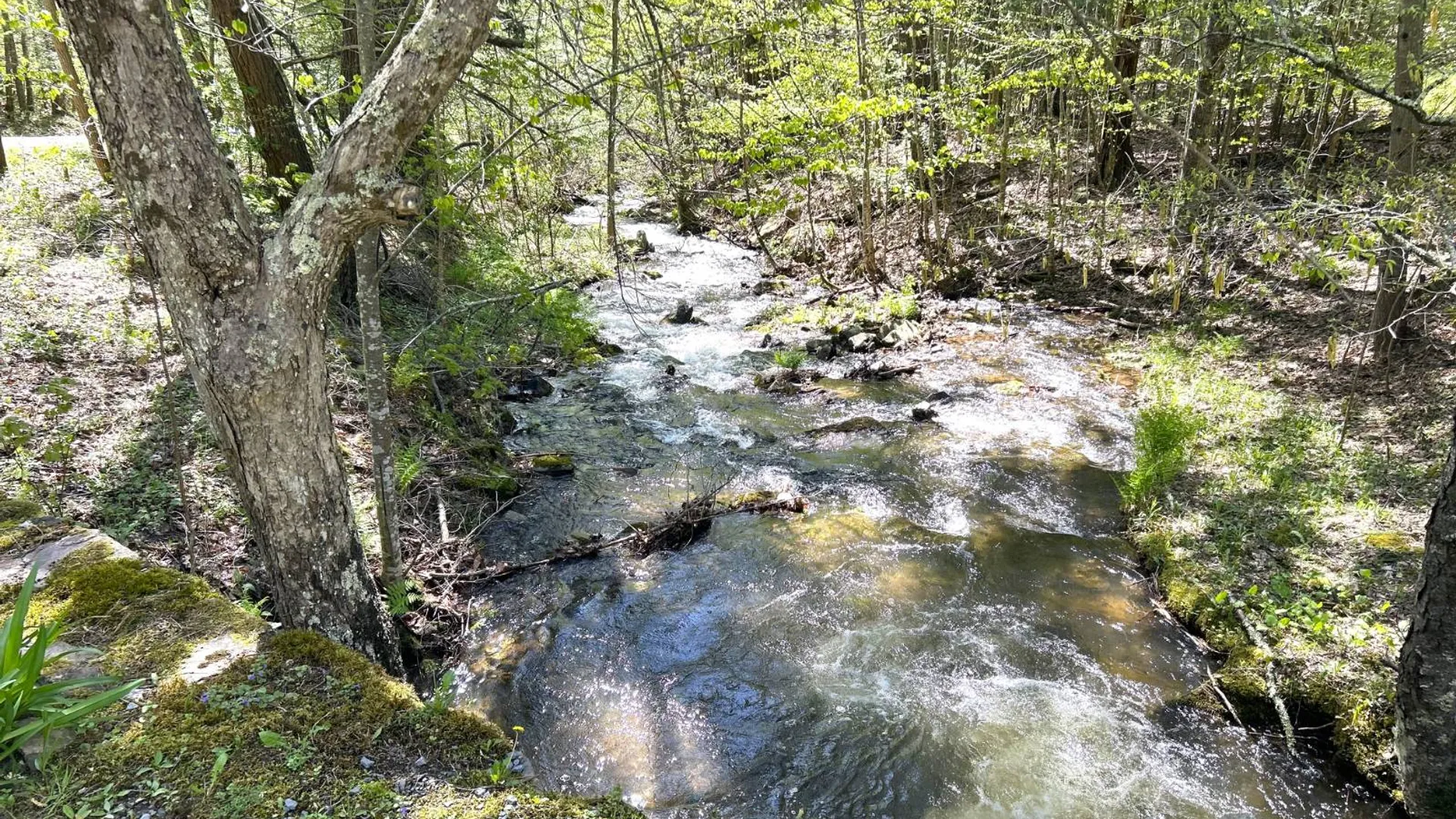 Property at 169 Rt. 4, Prattsville, NY 12468 18