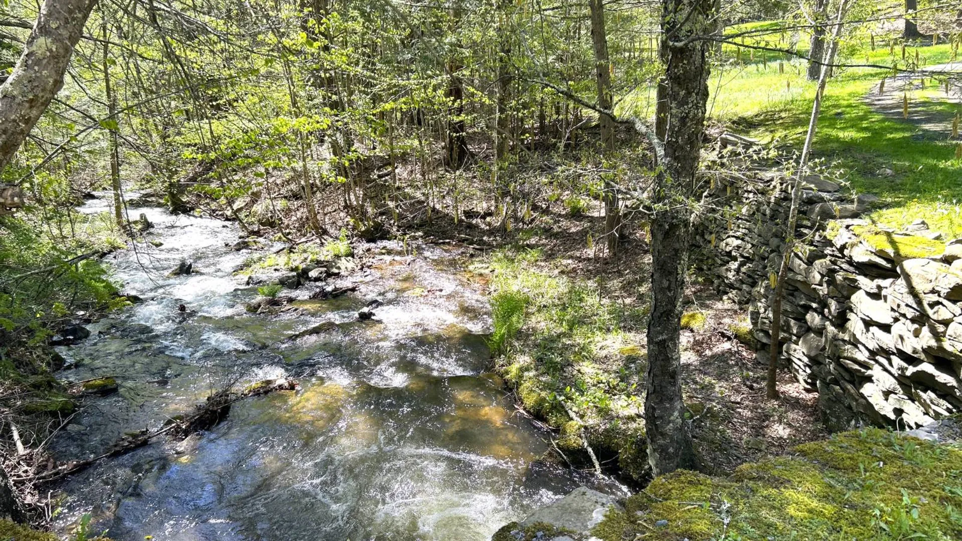 Property at 169 Rt. 4, Prattsville, NY 12468 19