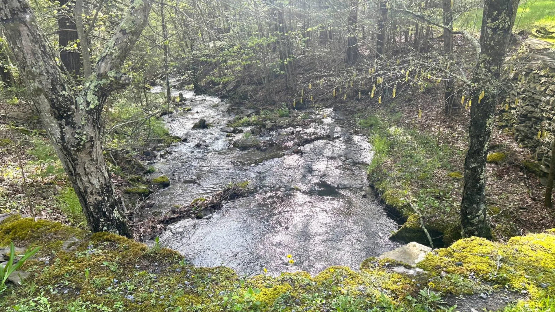 Property at 169 Rt. 4, Prattsville, NY 12468 9