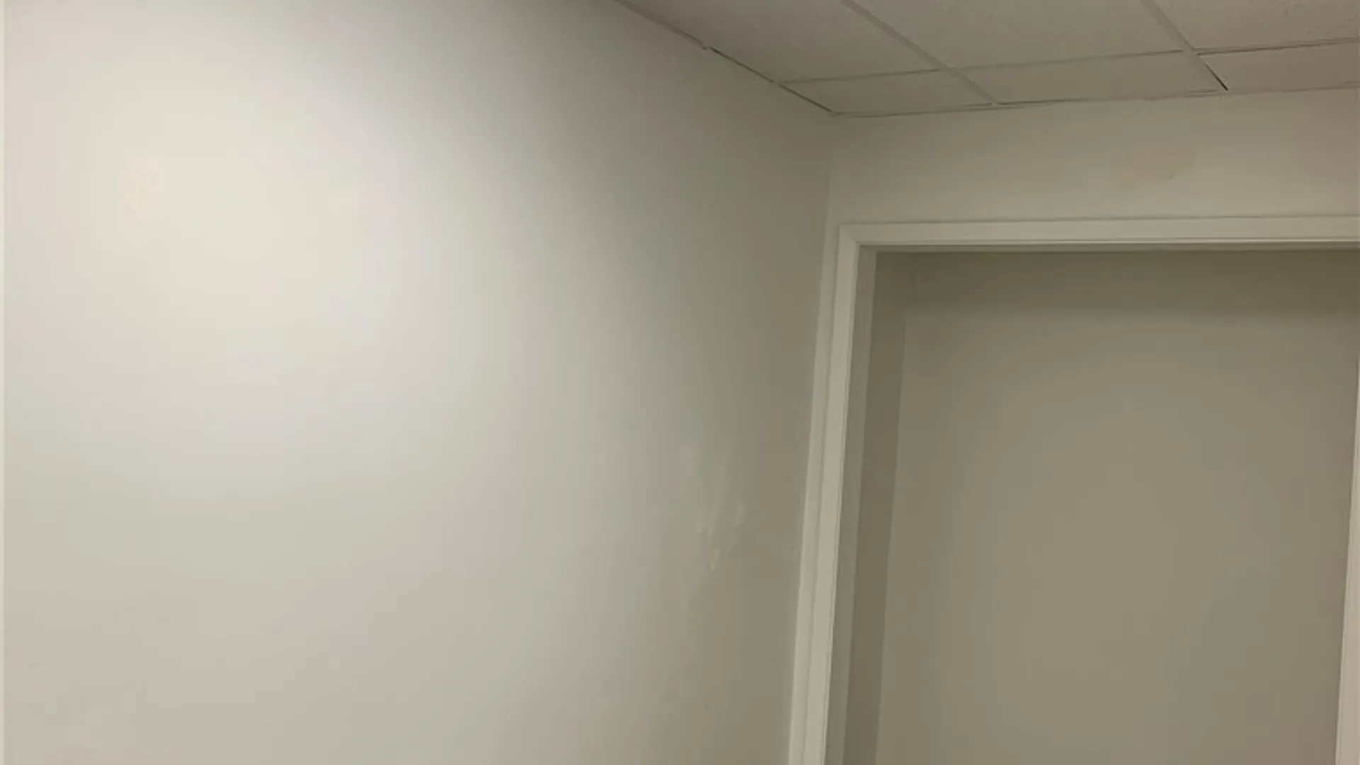 Property at 233  #1 Alexander Street, Rochester, NY 14607 10