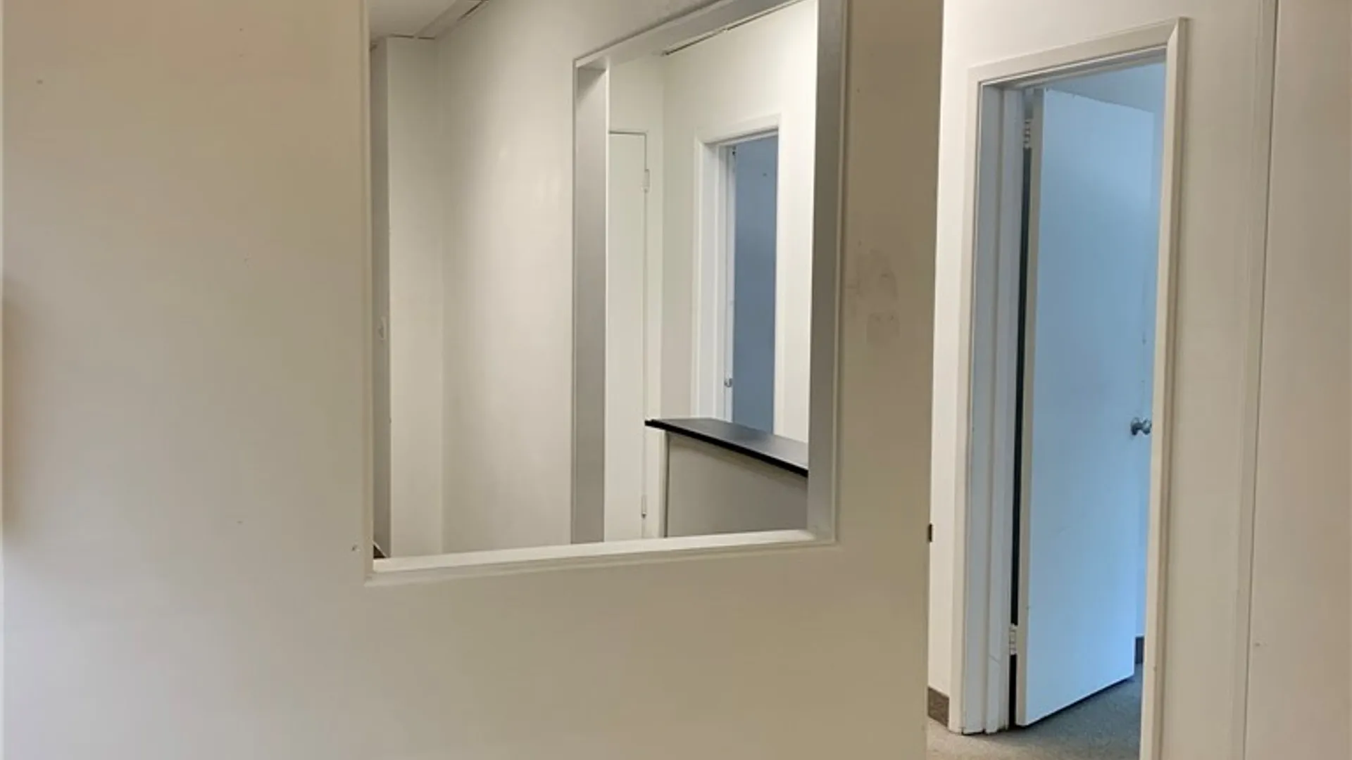 Property at 233  #1 Alexander Street, Rochester, NY 14607 13