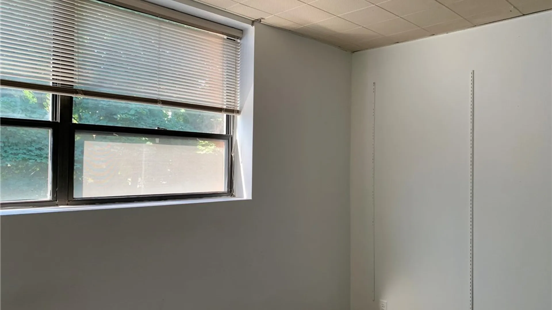 Property at 233  #1 Alexander Street, Rochester, NY 14607 7