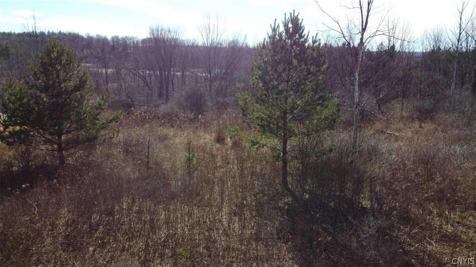 Property at Route 11, Lafayette, NY 13084 5