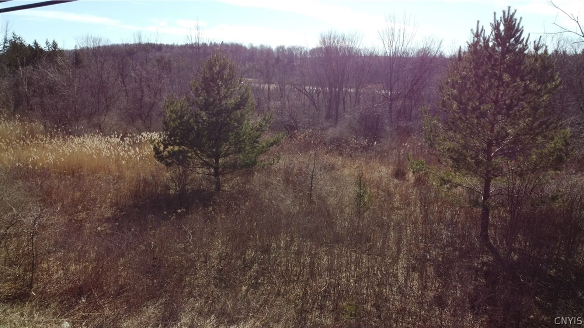 Property at Route 11, Lafayette, NY 13084 6