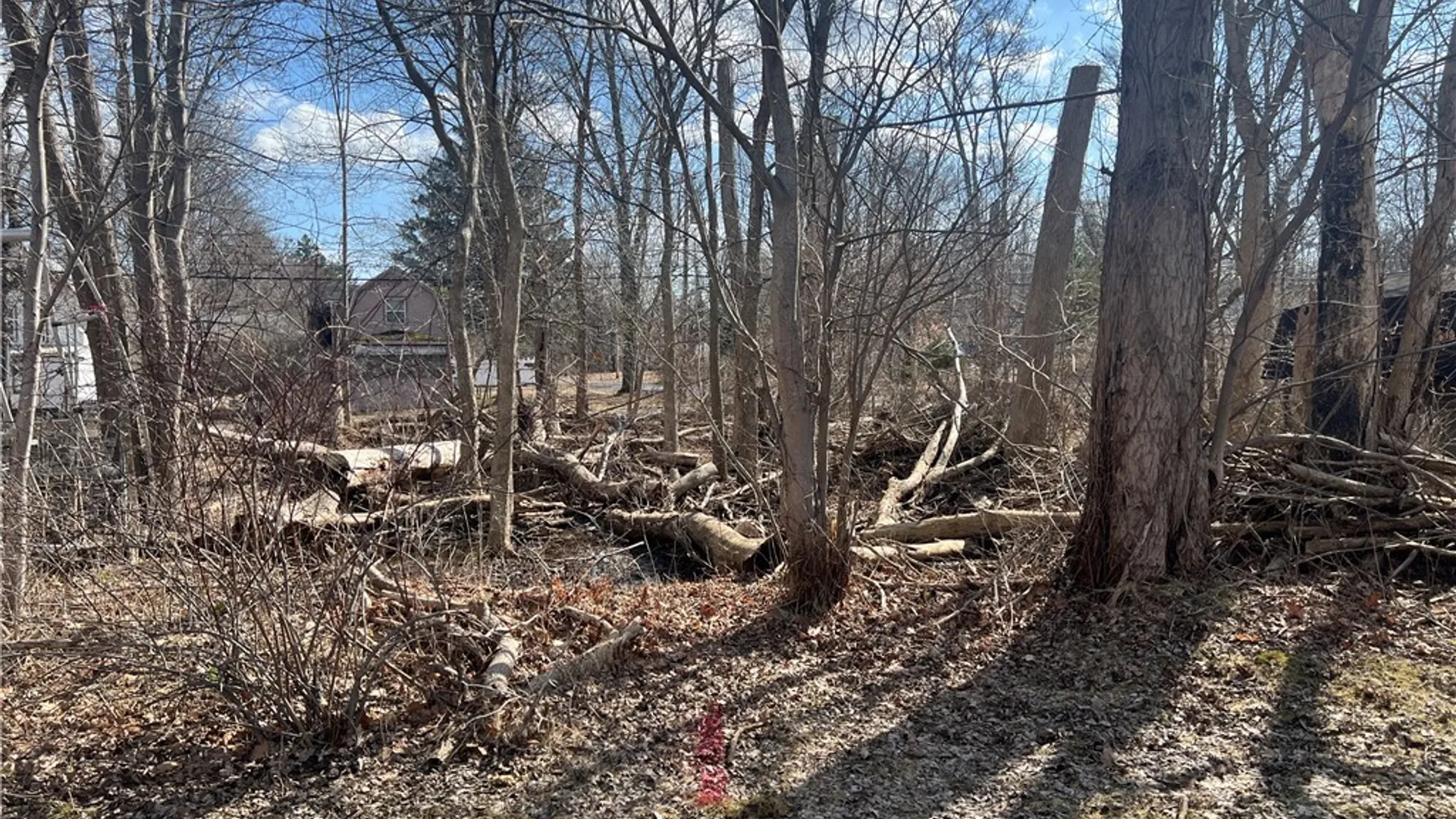 Property at Longview Avenue, Ellicott, NY 14701 6