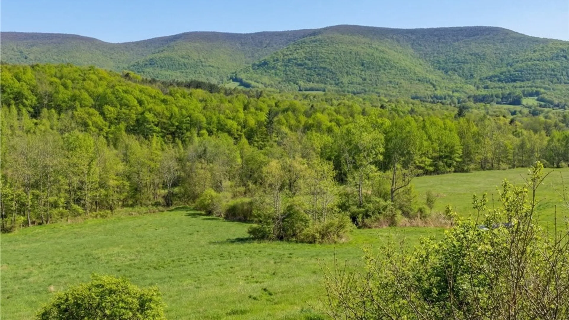 Property at 424 Carr George Road, Roxbury, NY 12421 34