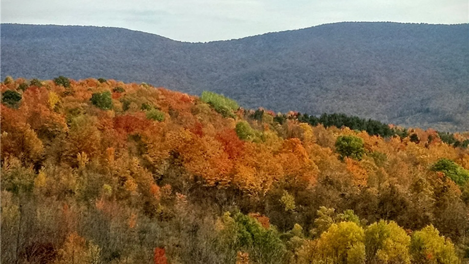 Property at 424 Carr George Road, Roxbury, NY 12421 35