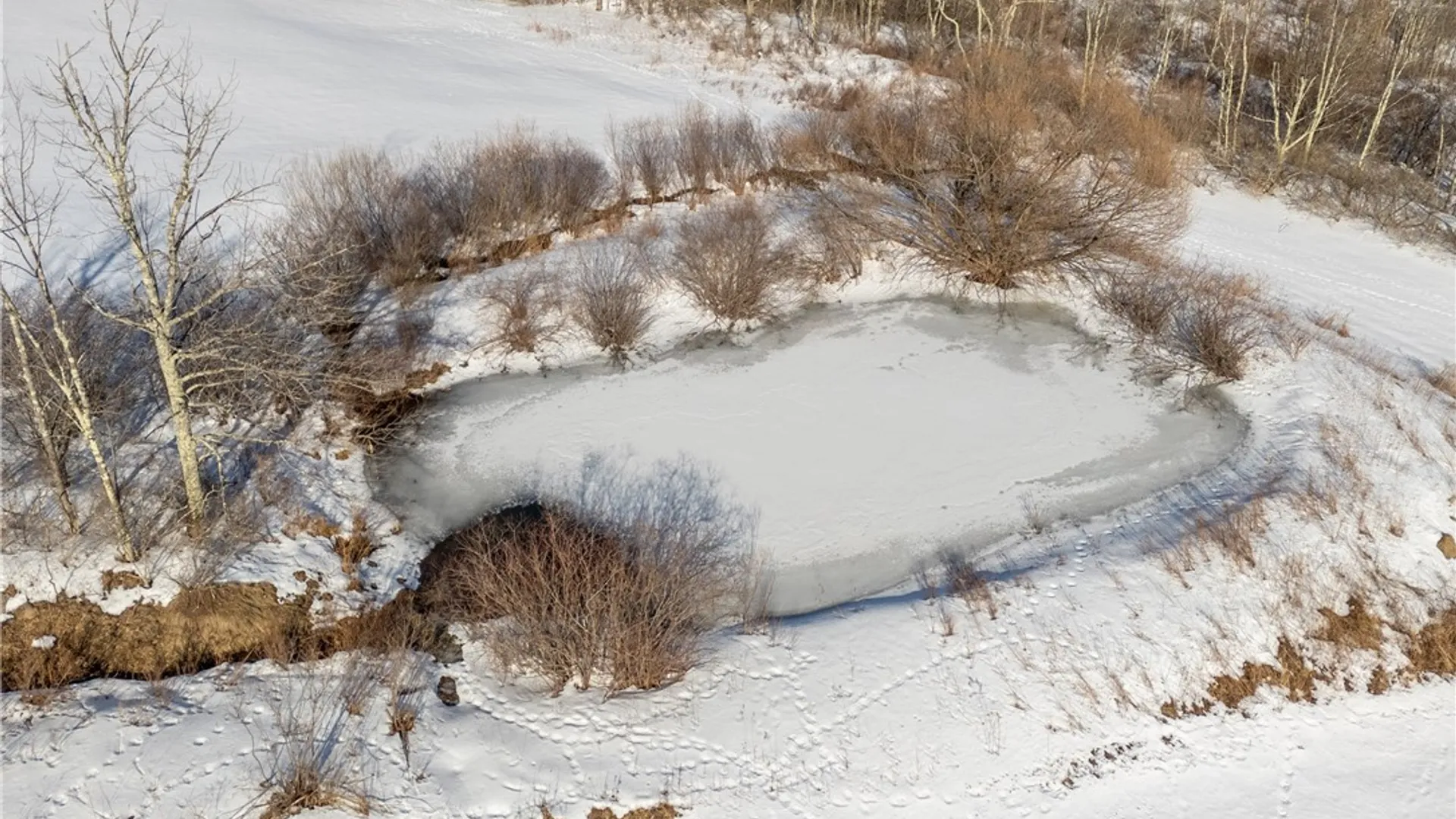 Property at 424 Carr George Road, Roxbury, NY 12421 37