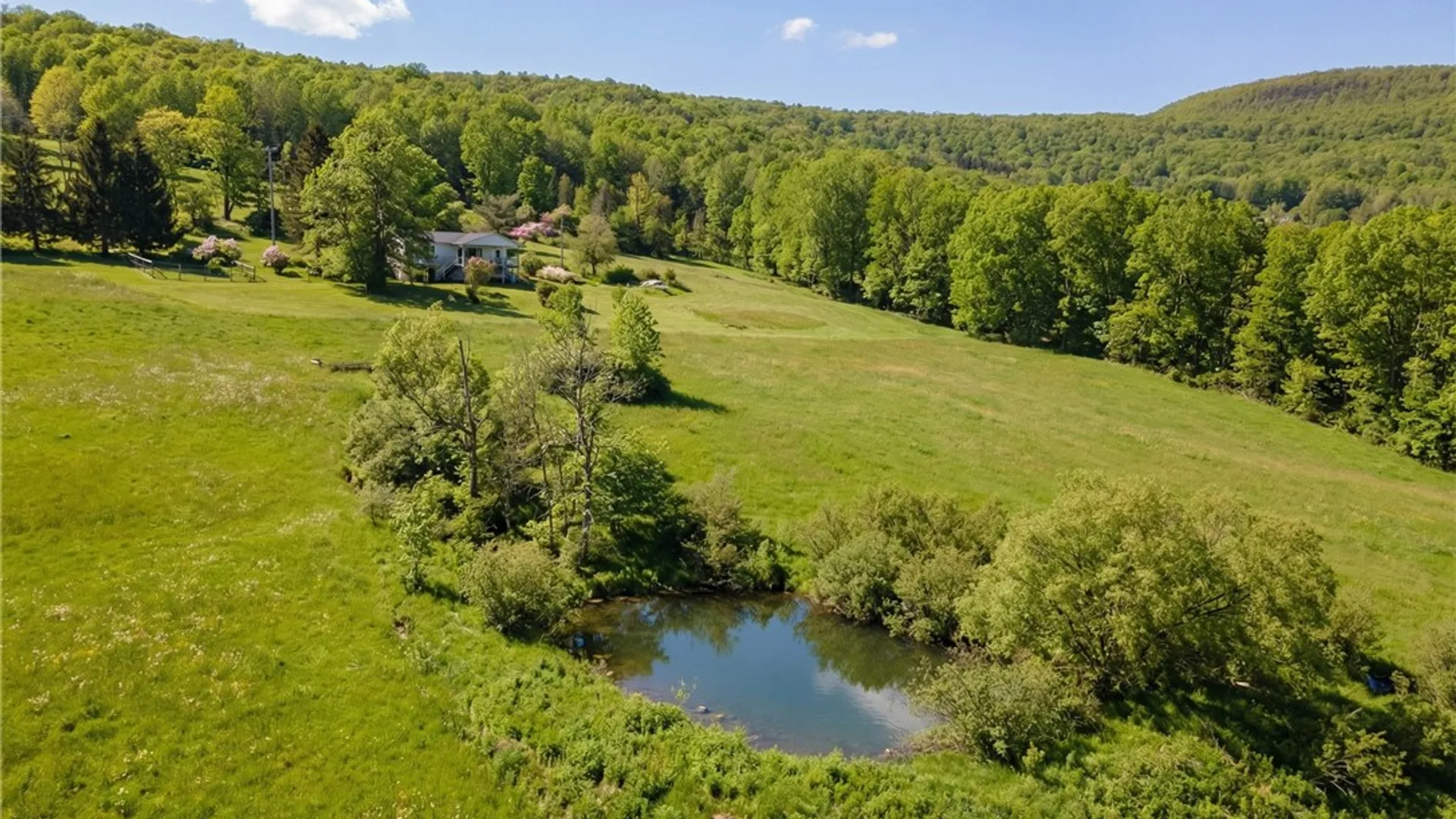 Property at 424 Carr George Road, Roxbury, NY 12421 38