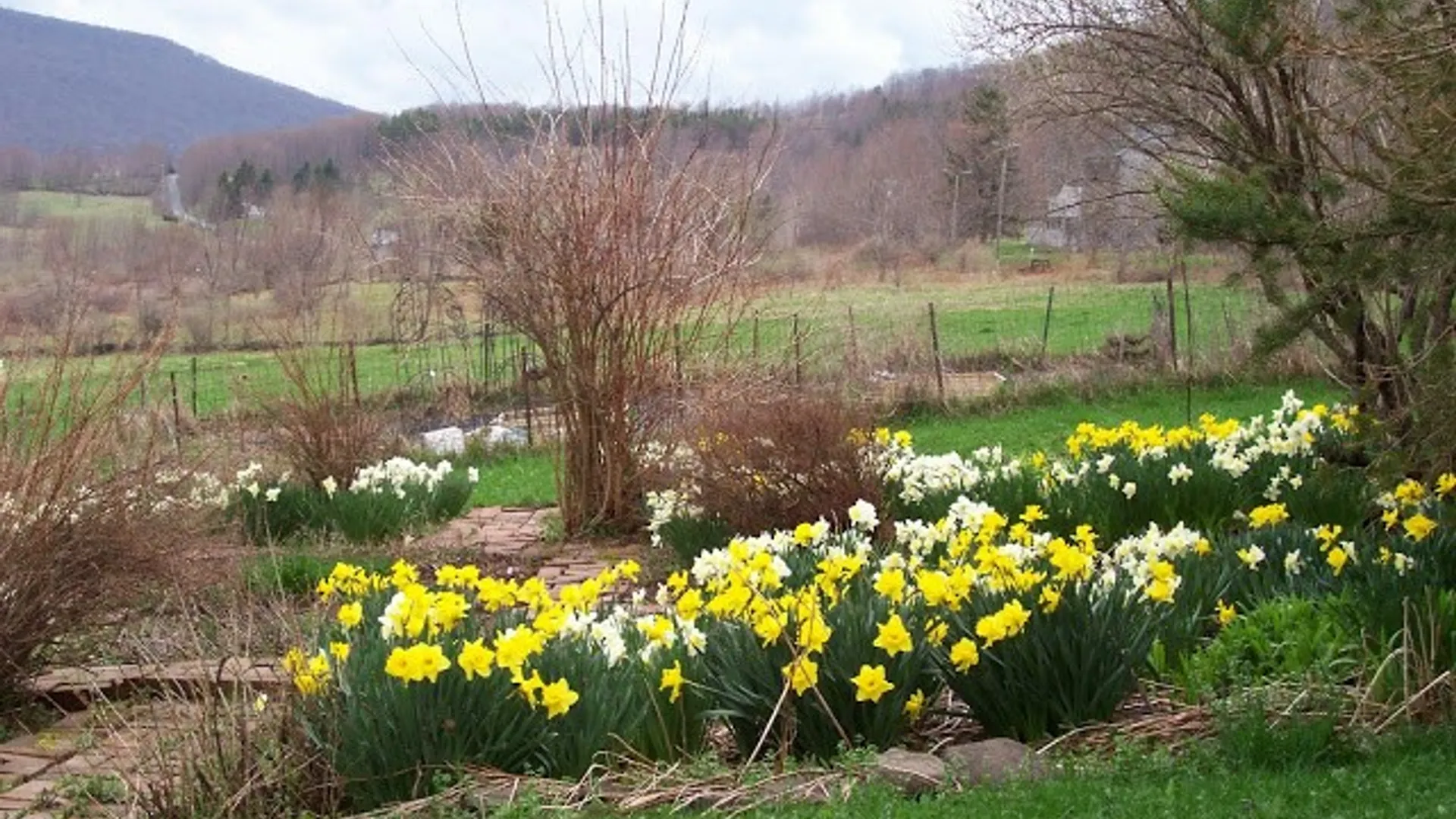 Property at 424 Carr George Road, Roxbury, NY 12421 42