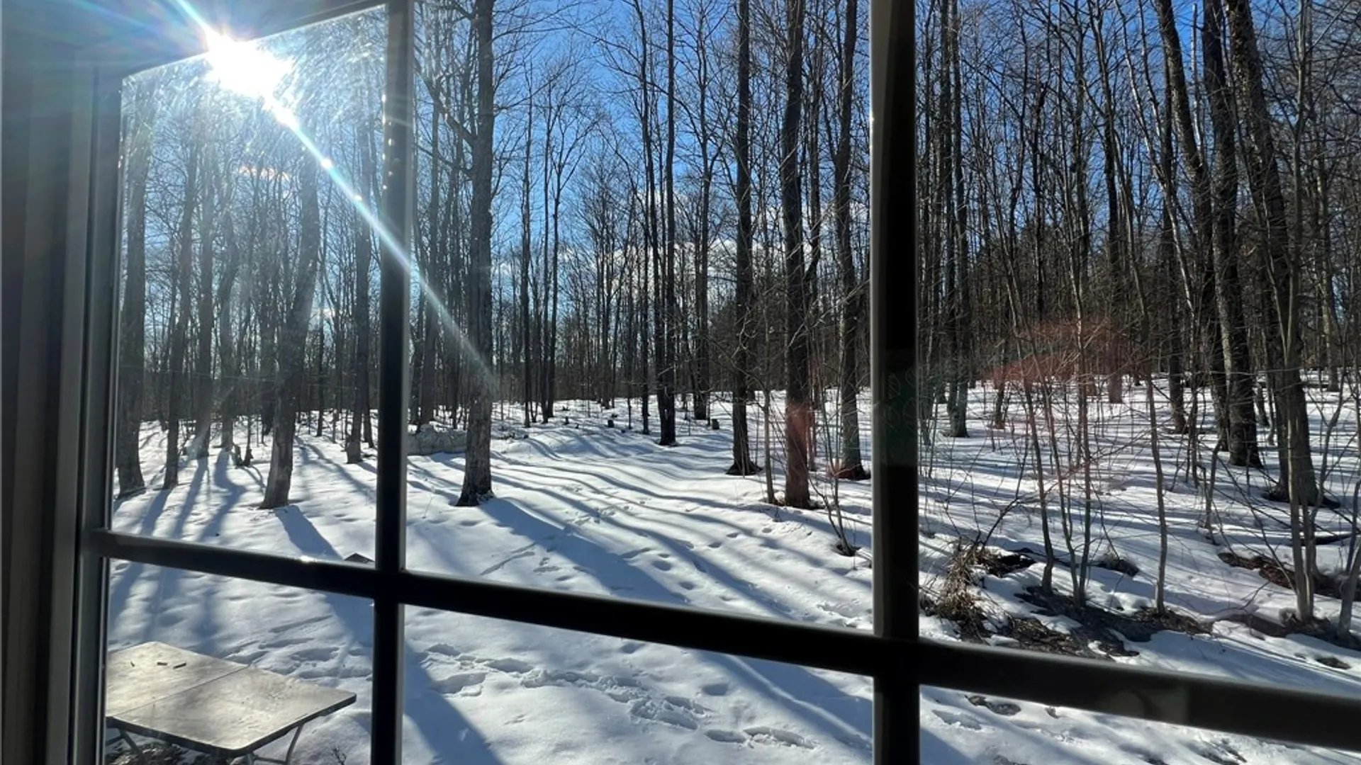 Property at 5063 Cooper Hill Road, Humphrey, NY 14743 12