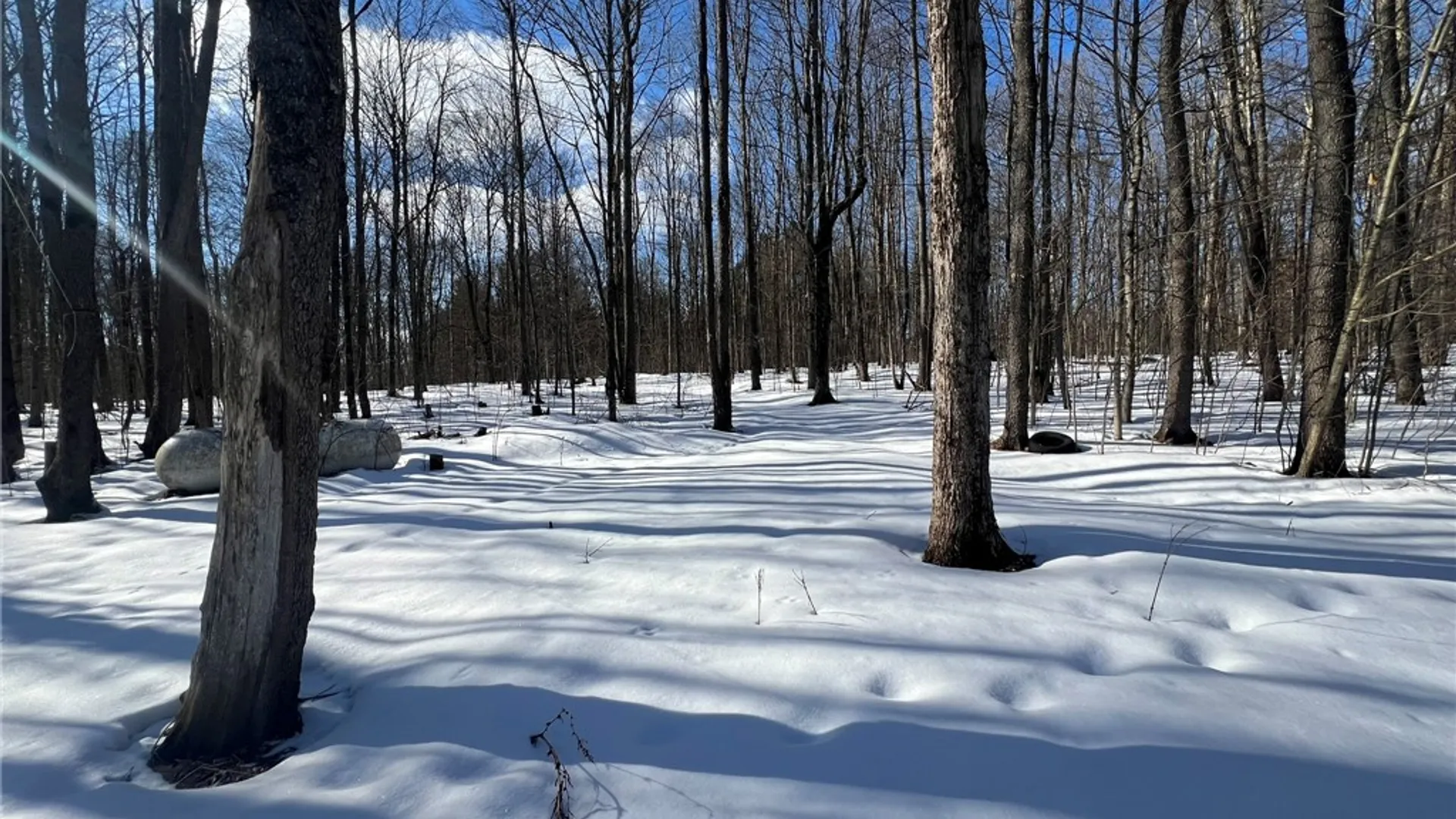 Property at 5063 Cooper Hill Road, Humphrey, NY 14743 46