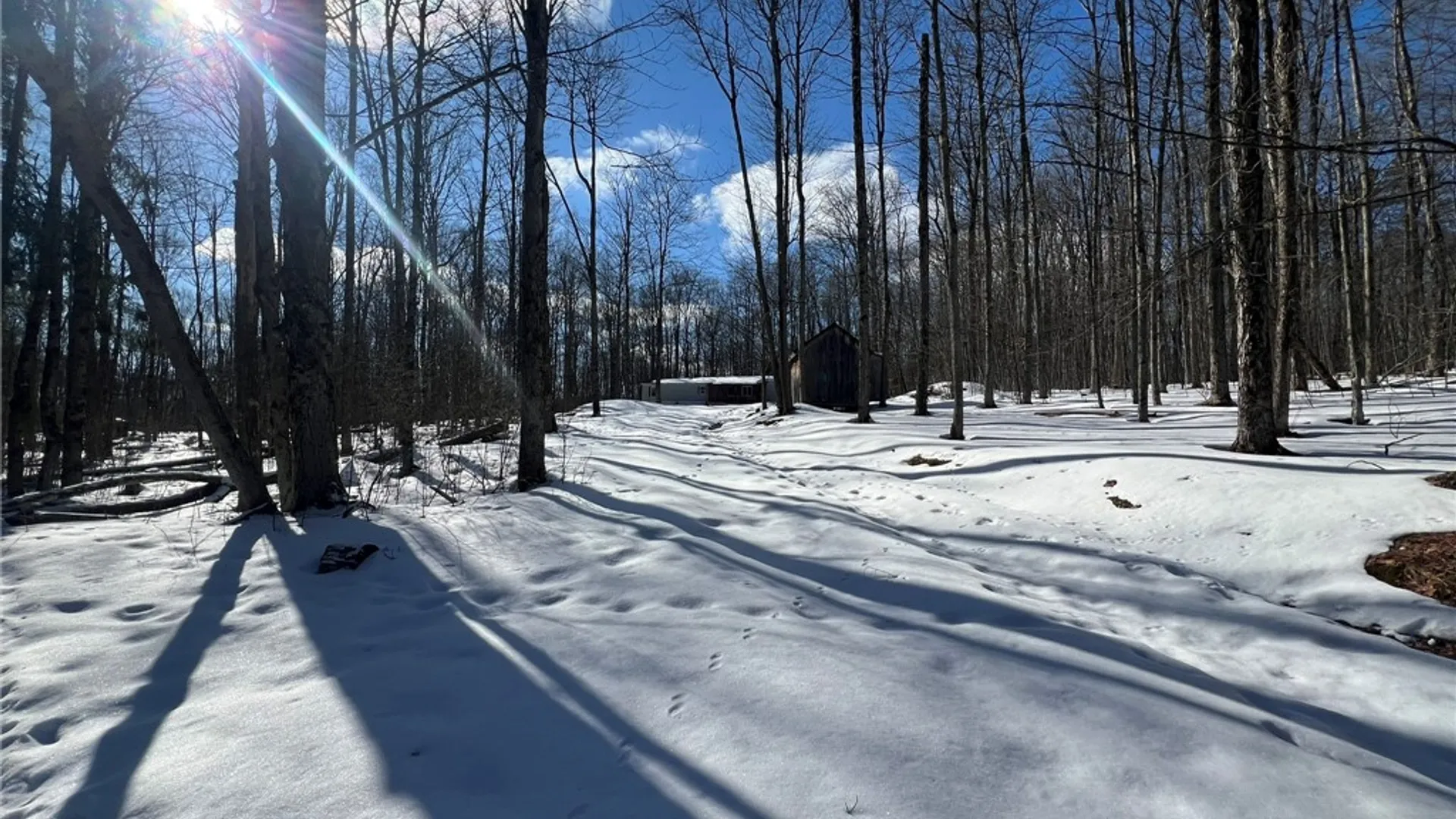 Property at 5063 Cooper Hill Road, Humphrey, NY 14743 50