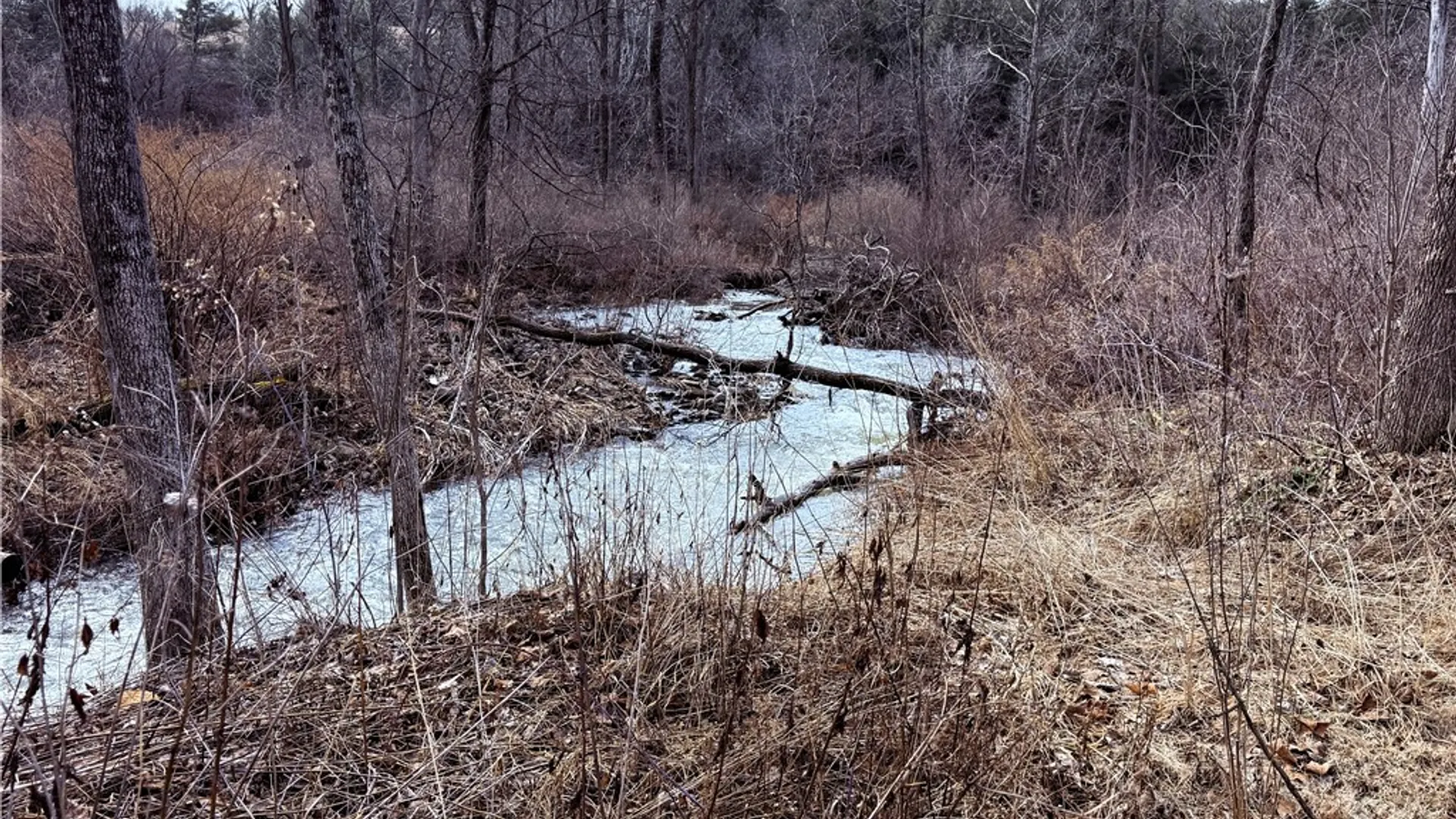 Property at 386 Hamilton Valley Road, Barton, NY 14883 42