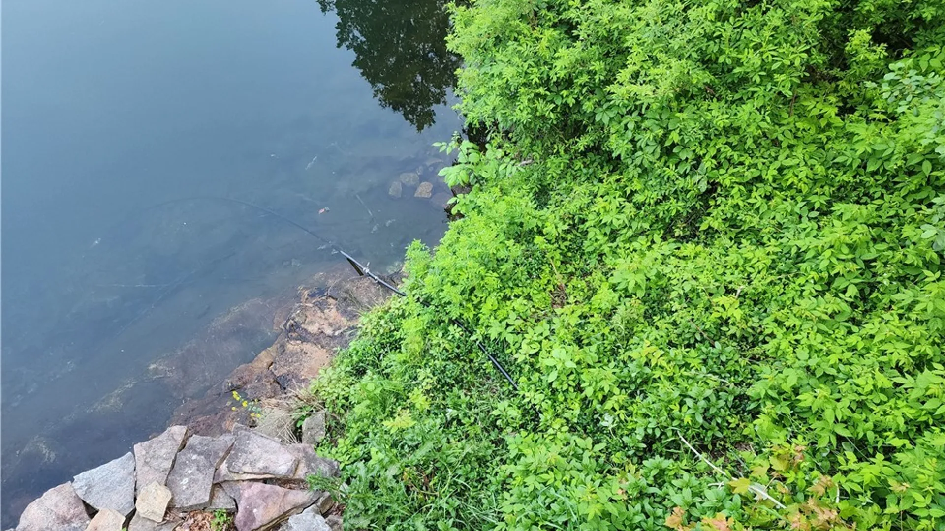 Property at 39800 Hyde Lake Road, Theresa, NY 13691 31