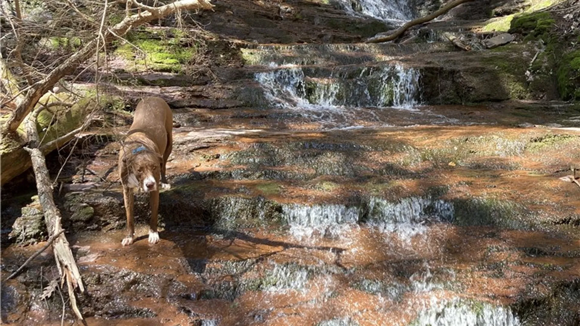 Property at 48359 State Highway 10, Delhi, NY 13753 13