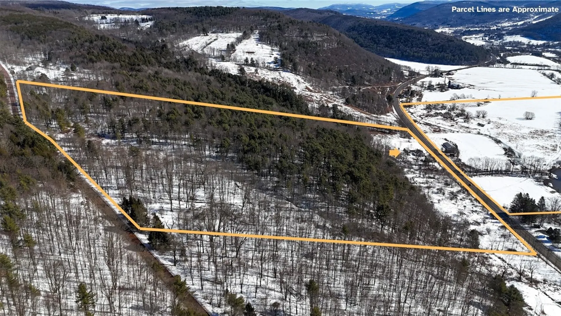 Property at 48359 State Highway 10, Delhi, NY 13753 35