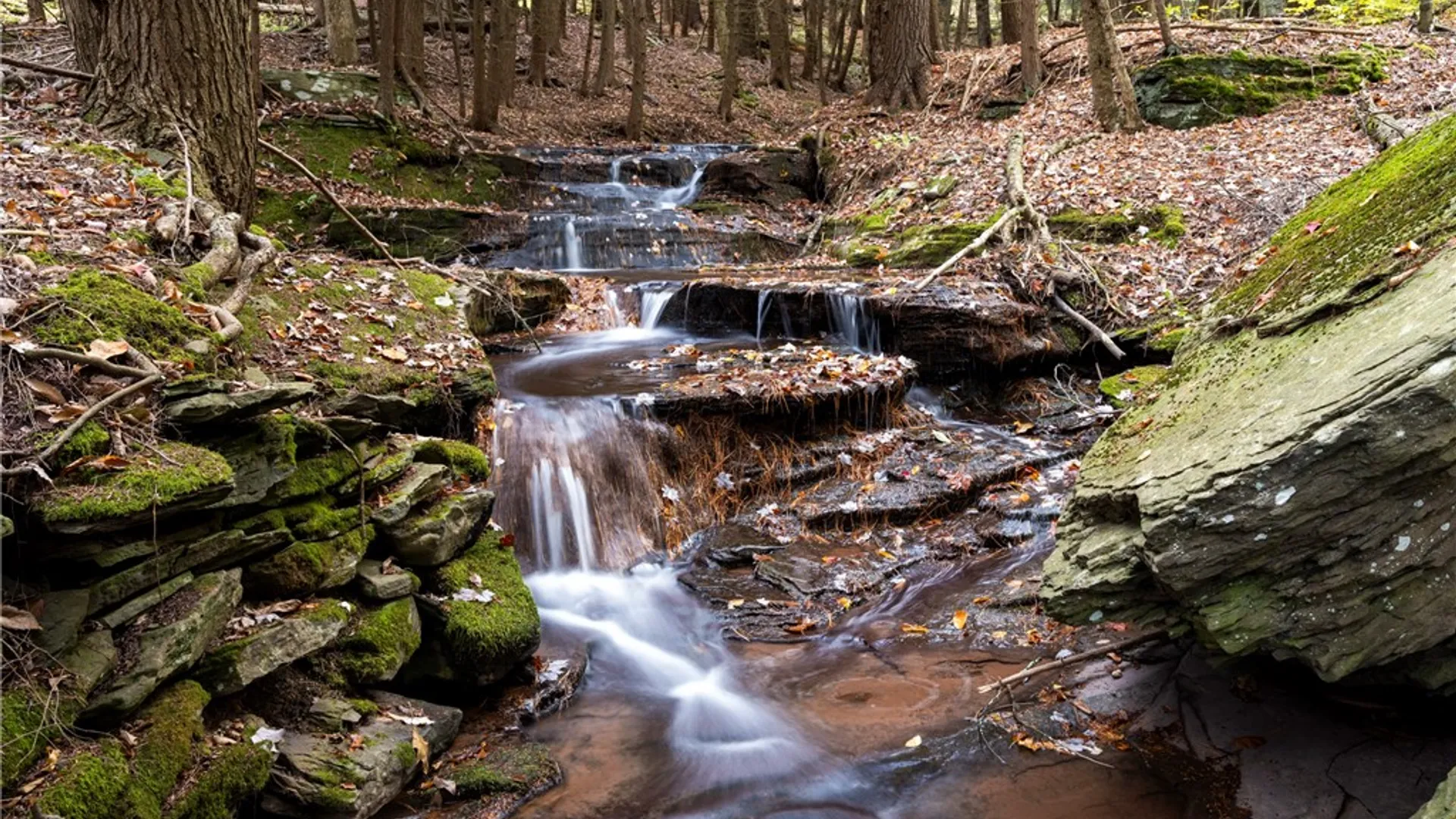 Property at 48359 State Highway 10, Delhi, NY 13753 7