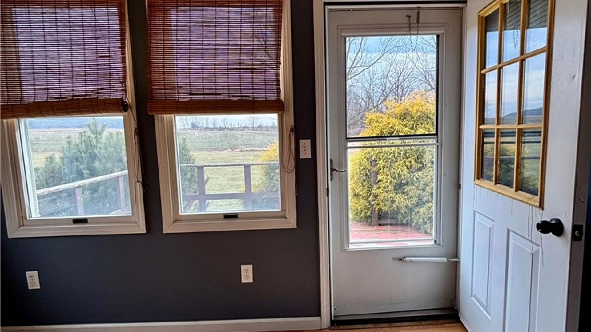 Property at 3748 Barnum Street, Hector, NY 14818 19