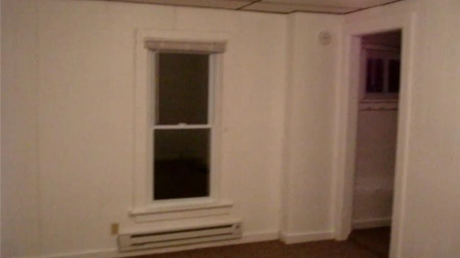 Property at 113 Prospect Street, Pomfret, NY 14063 39