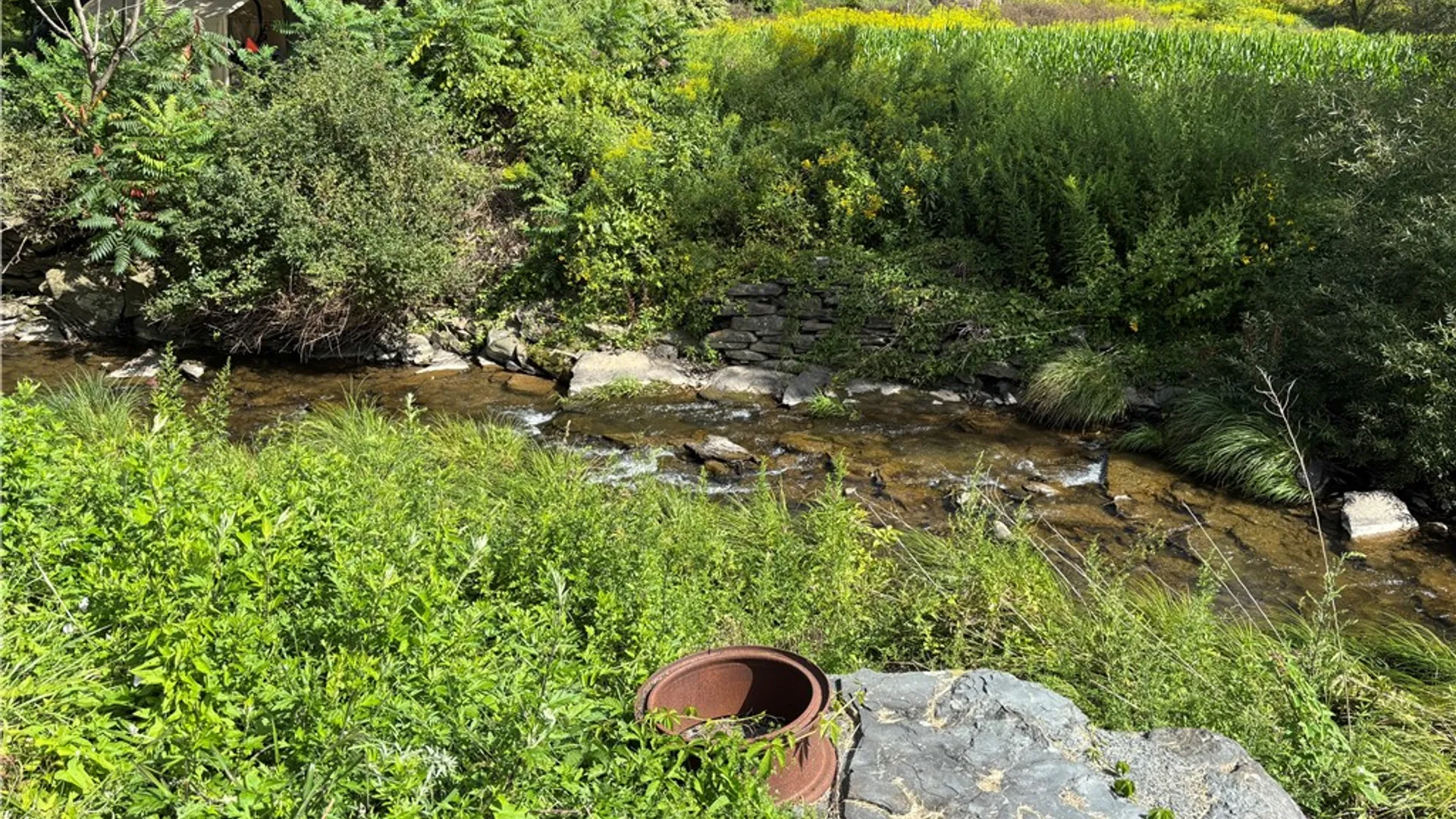 Property at 69 Jay Street, Sidney, NY 13839 25