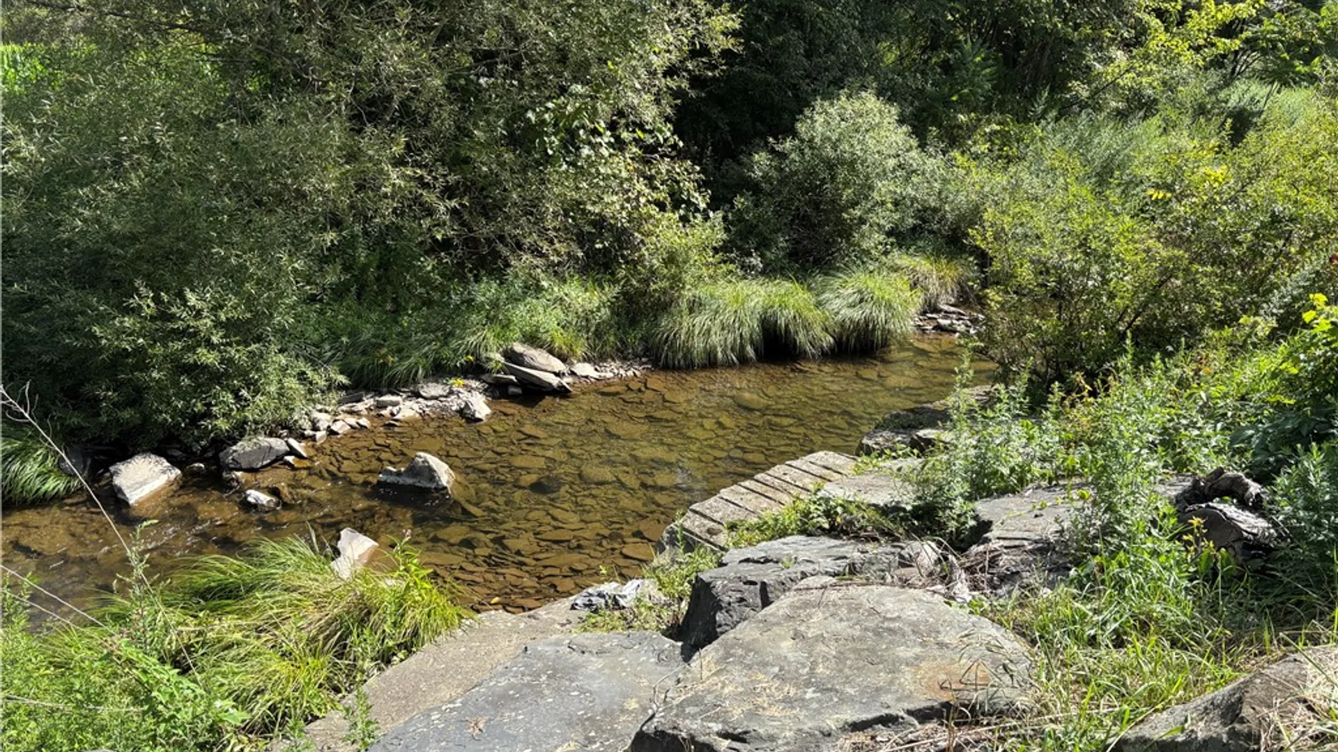 Property at 69 Jay Street, Sidney, NY 13839 3