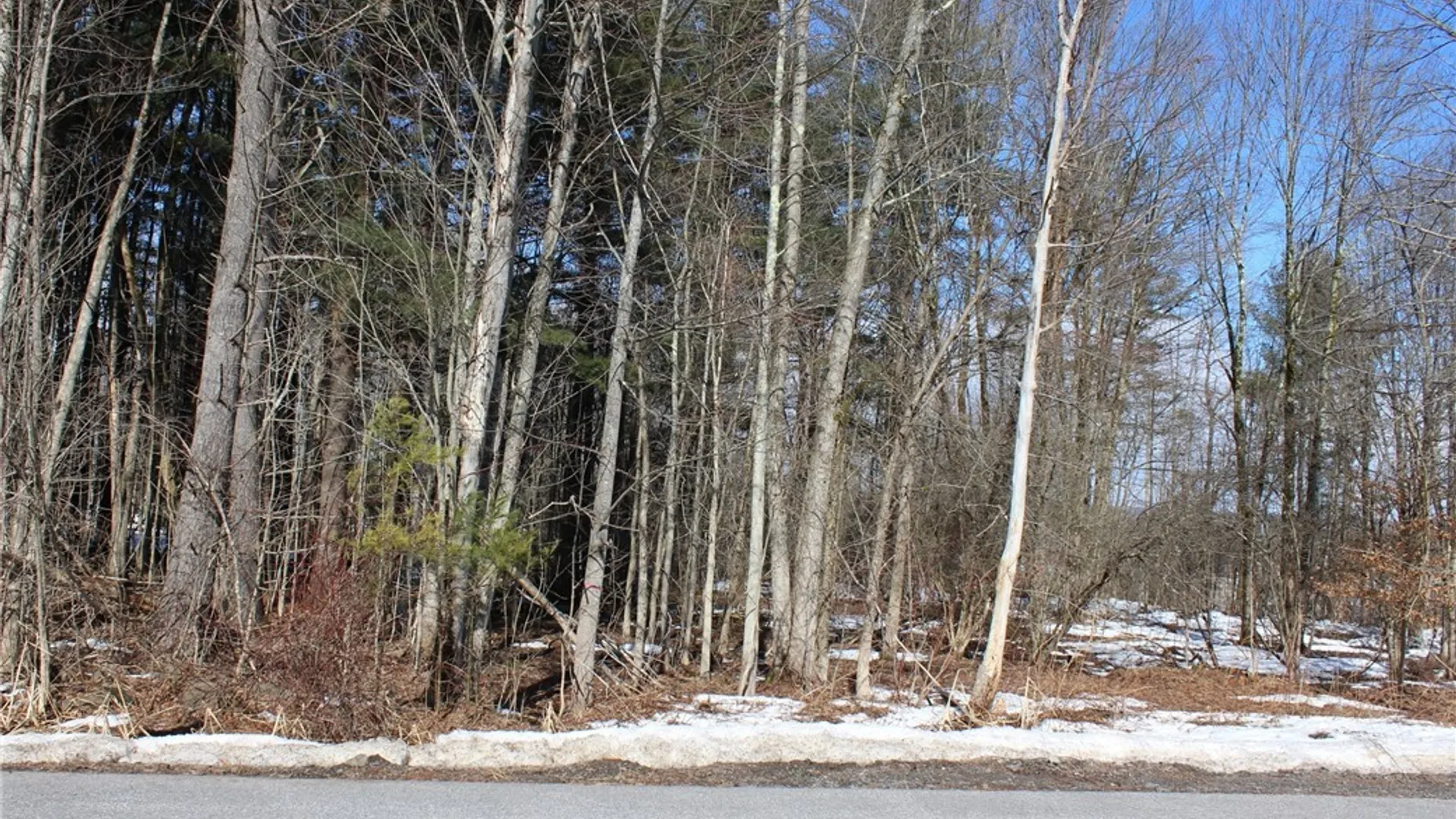 Property at 0 Durr Avenue, Camden, NY 13316 3