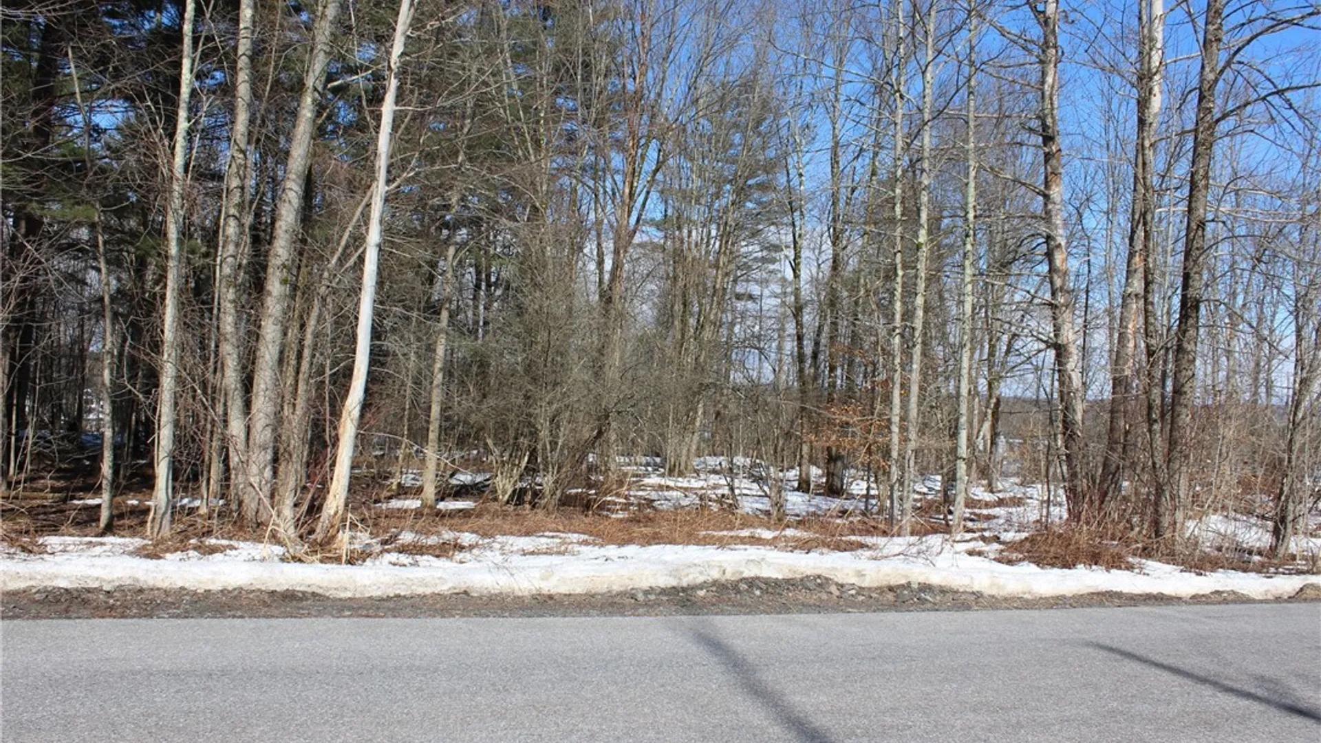 Property at 0 Durr Avenue, Camden, NY 13316 4