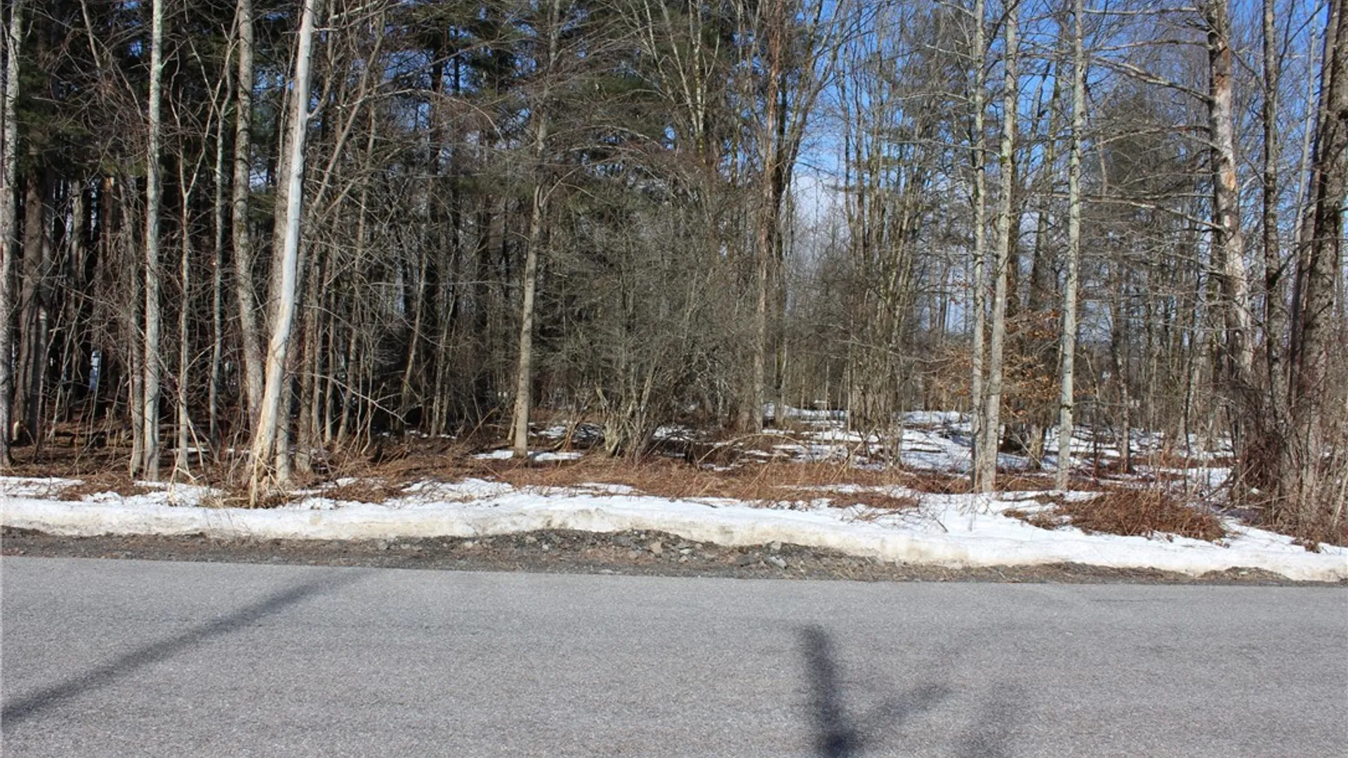 Property at 0 Durr Avenue, Camden, NY 13316 5