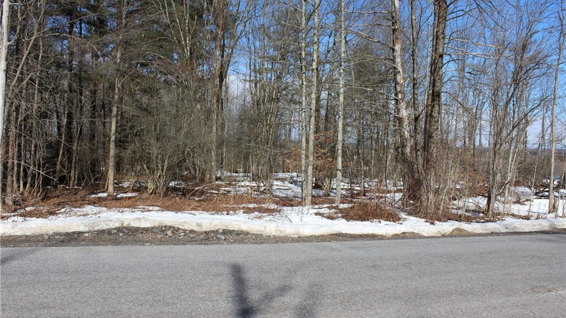 Property at 0 Durr Avenue, Camden, NY 13316 6